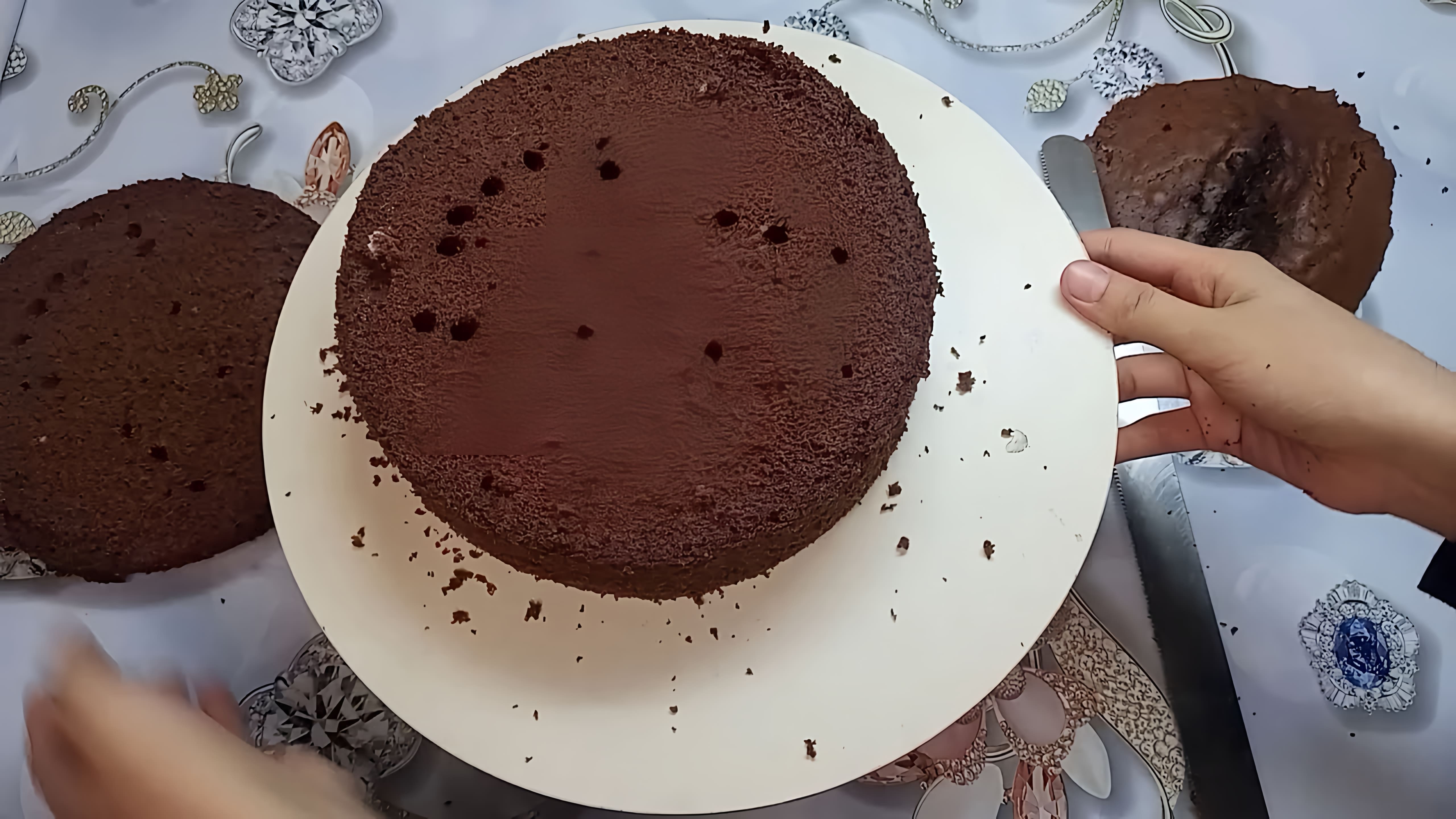 В этом видео-ролике будет представлен рецепт шоколадного бисквита на 6 яиц