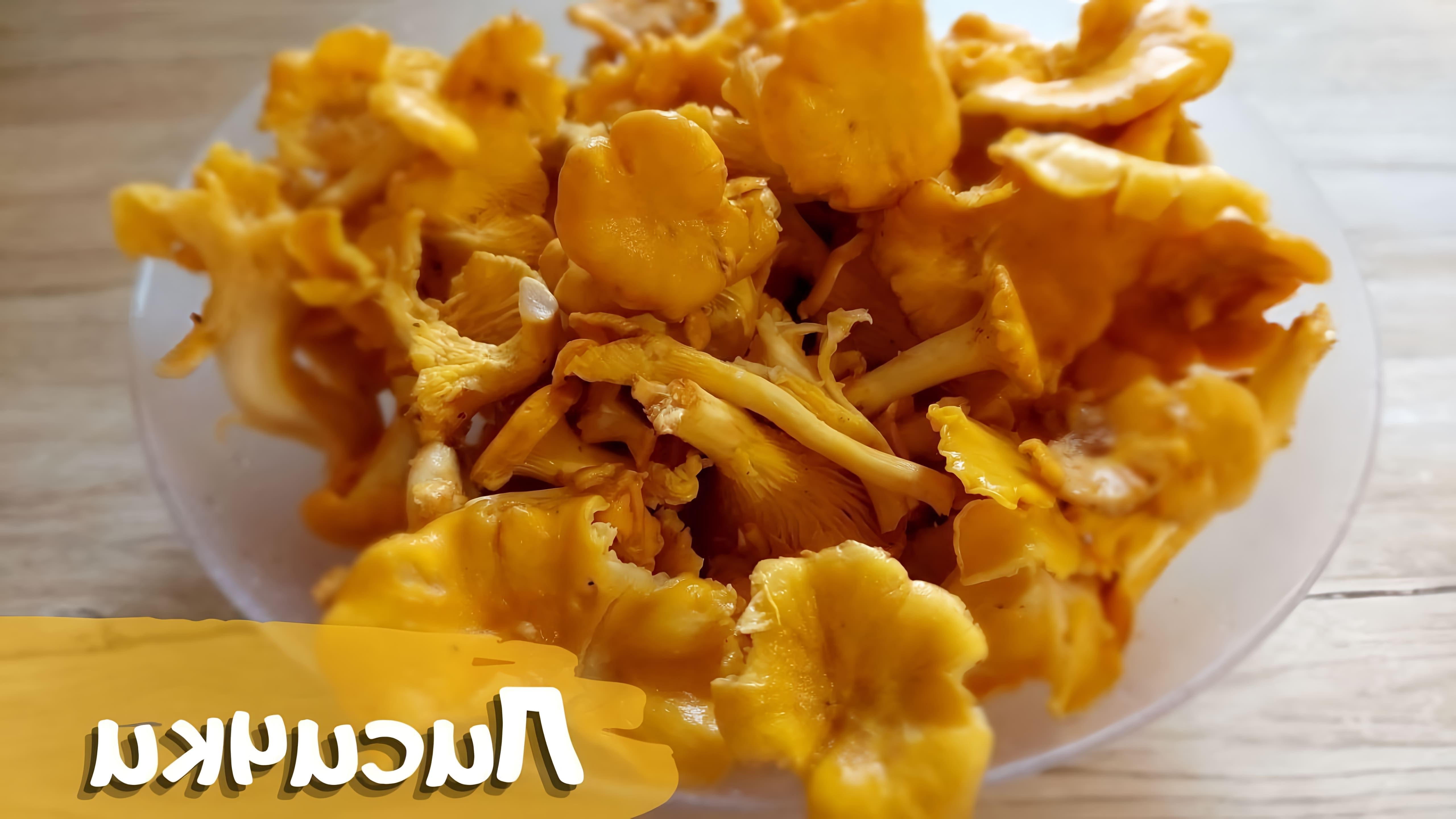 В этом видео демонстрируется процесс приготовления жареных лисичек с чесноком и сливочным маслом