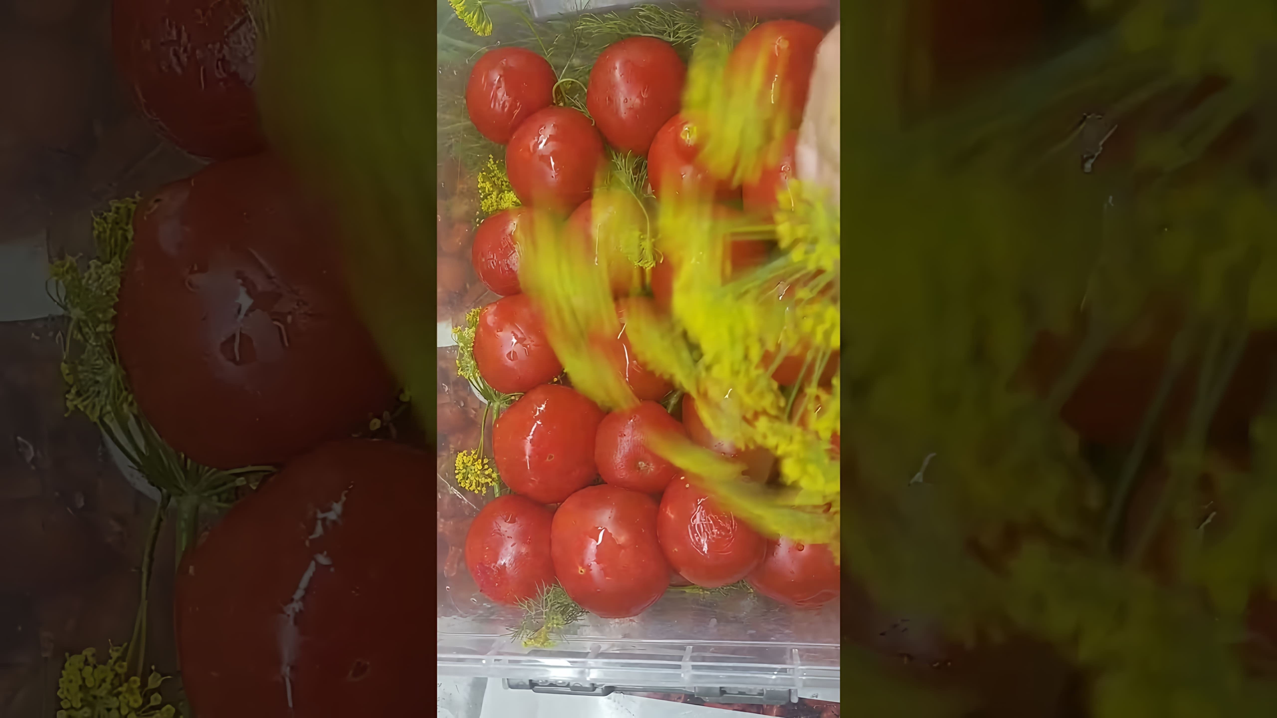 В этом видео-ролике вы увидите, как приготовить вкусные малосольные помидоры по рецептам от Малинки