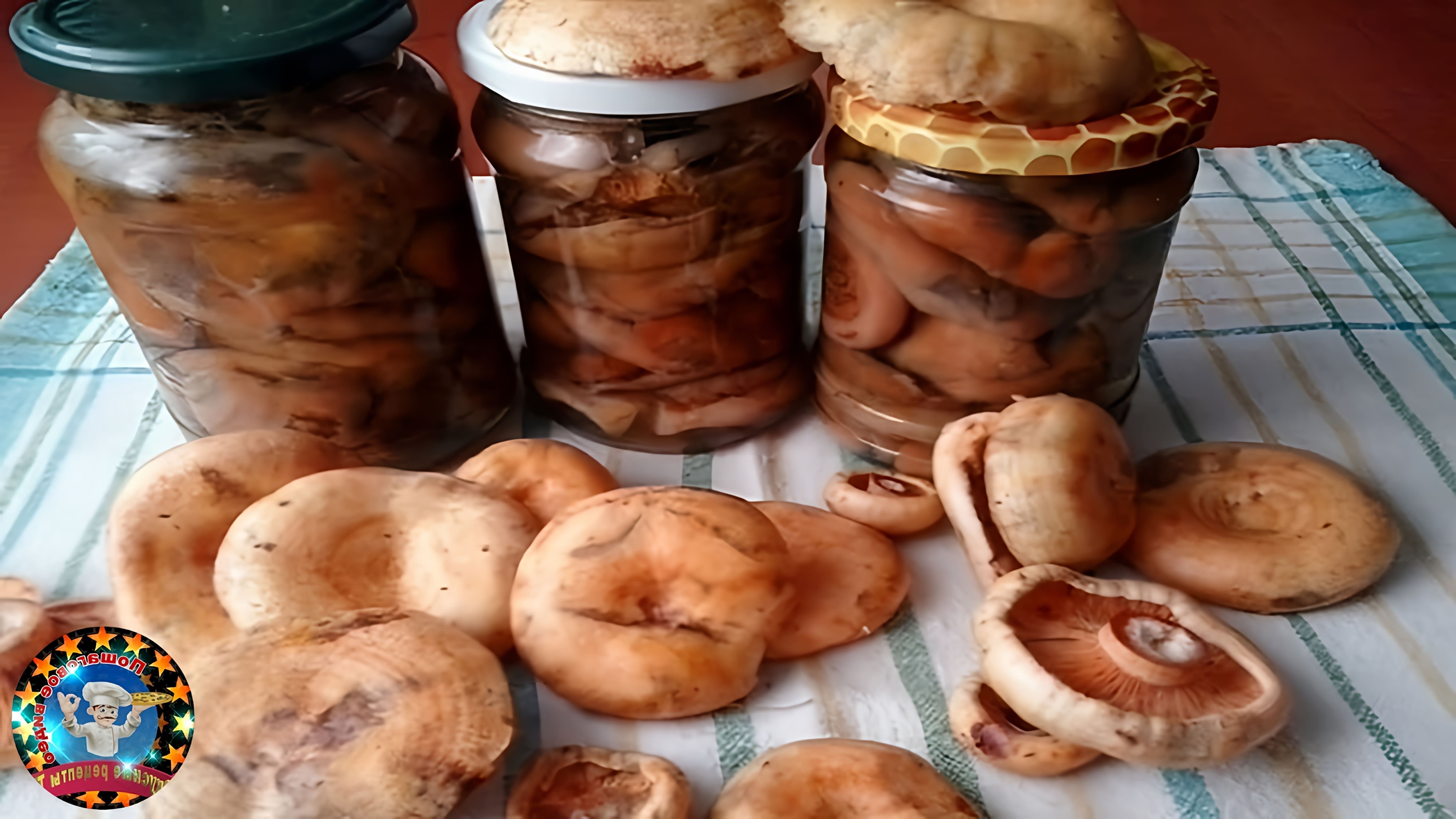 Маринованные Рыжики на Зиму - это видео-ролик, который показывает процесс приготовления вкусных и ароматных грибов на зиму