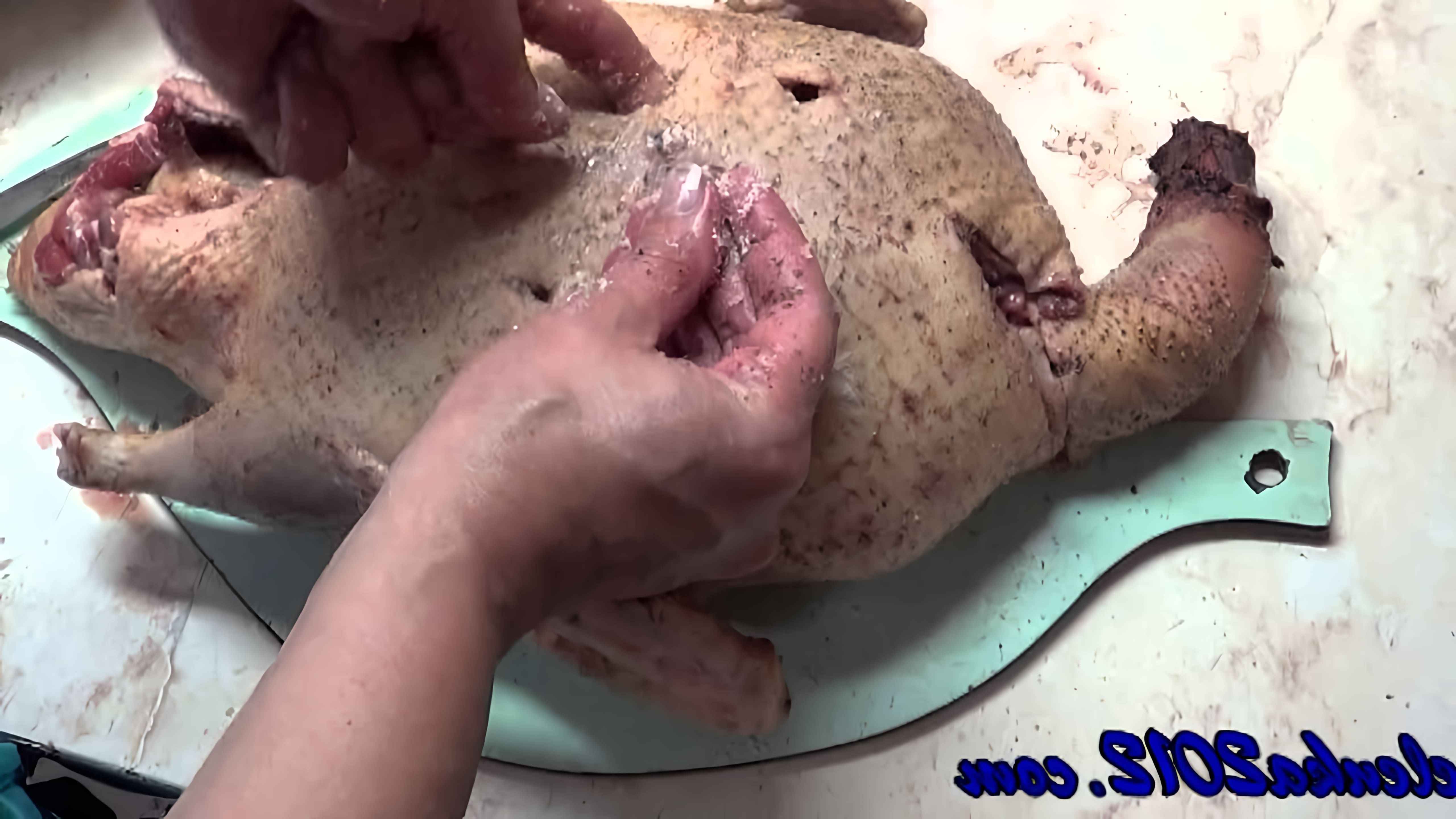В этом видео демонстрируется процесс приготовления гуся, фаршированного рисом