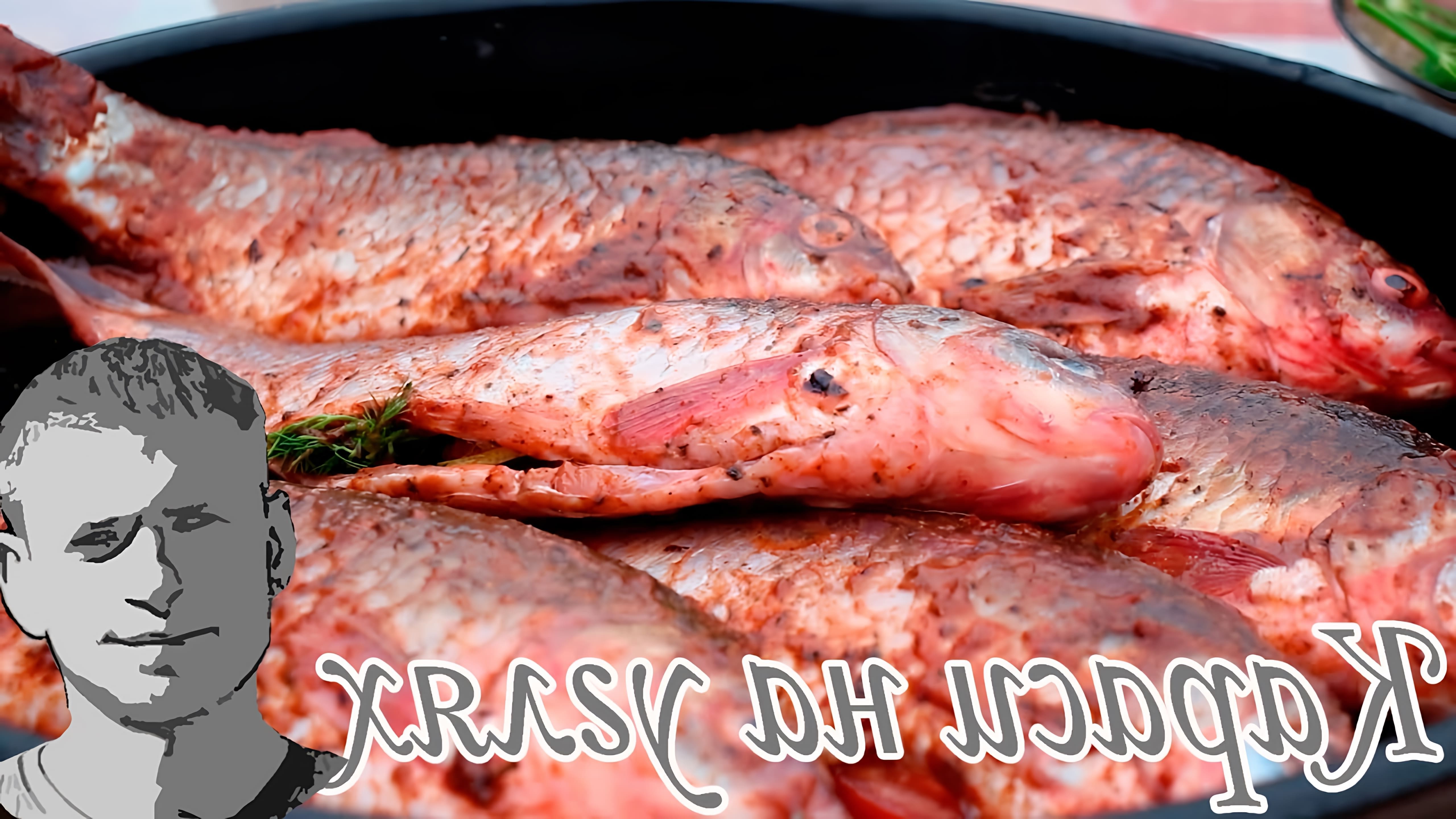 Карась - рыба простая, но очень вкусная. Карася можно запечь как на углях, так и в духовке. В этом видео мы приготовили... 