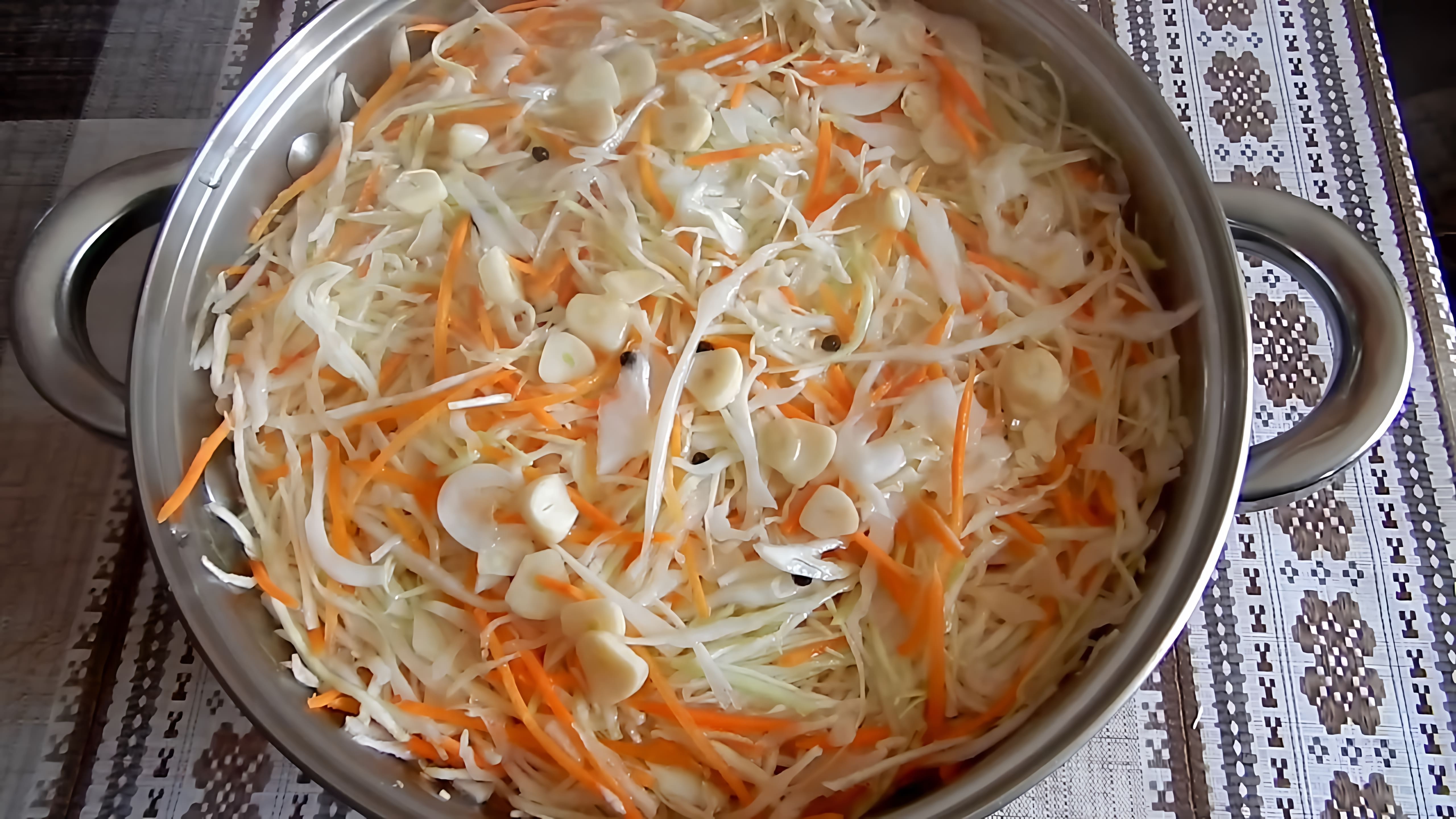 В этом видео демонстрируется процесс приготовления маринованной капусты быстрого приготовления