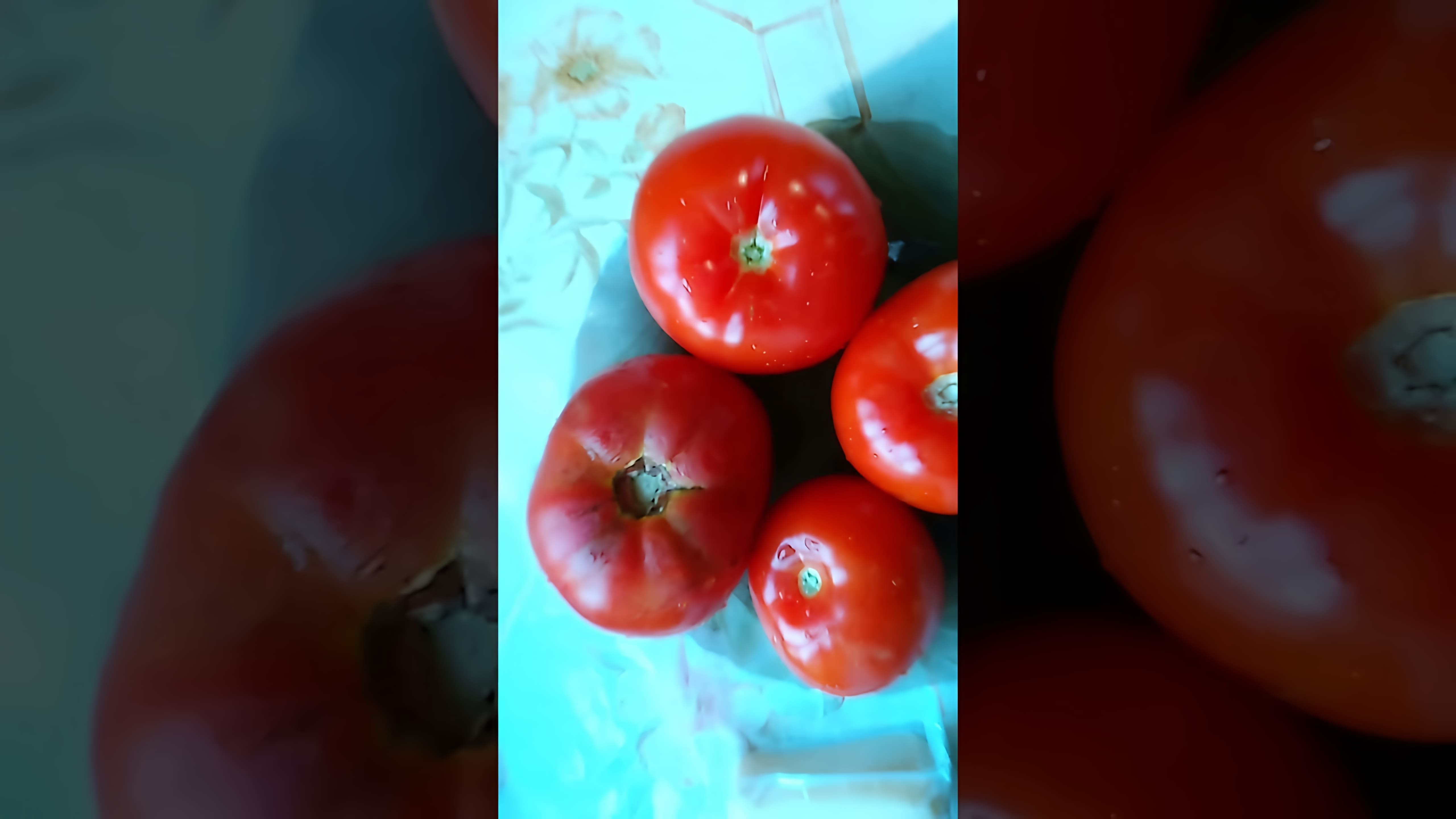 В этом видео-ролике будет показан быстрый и простой рецепт приготовления запеченных помидоров с фаршем и сыром в духовке