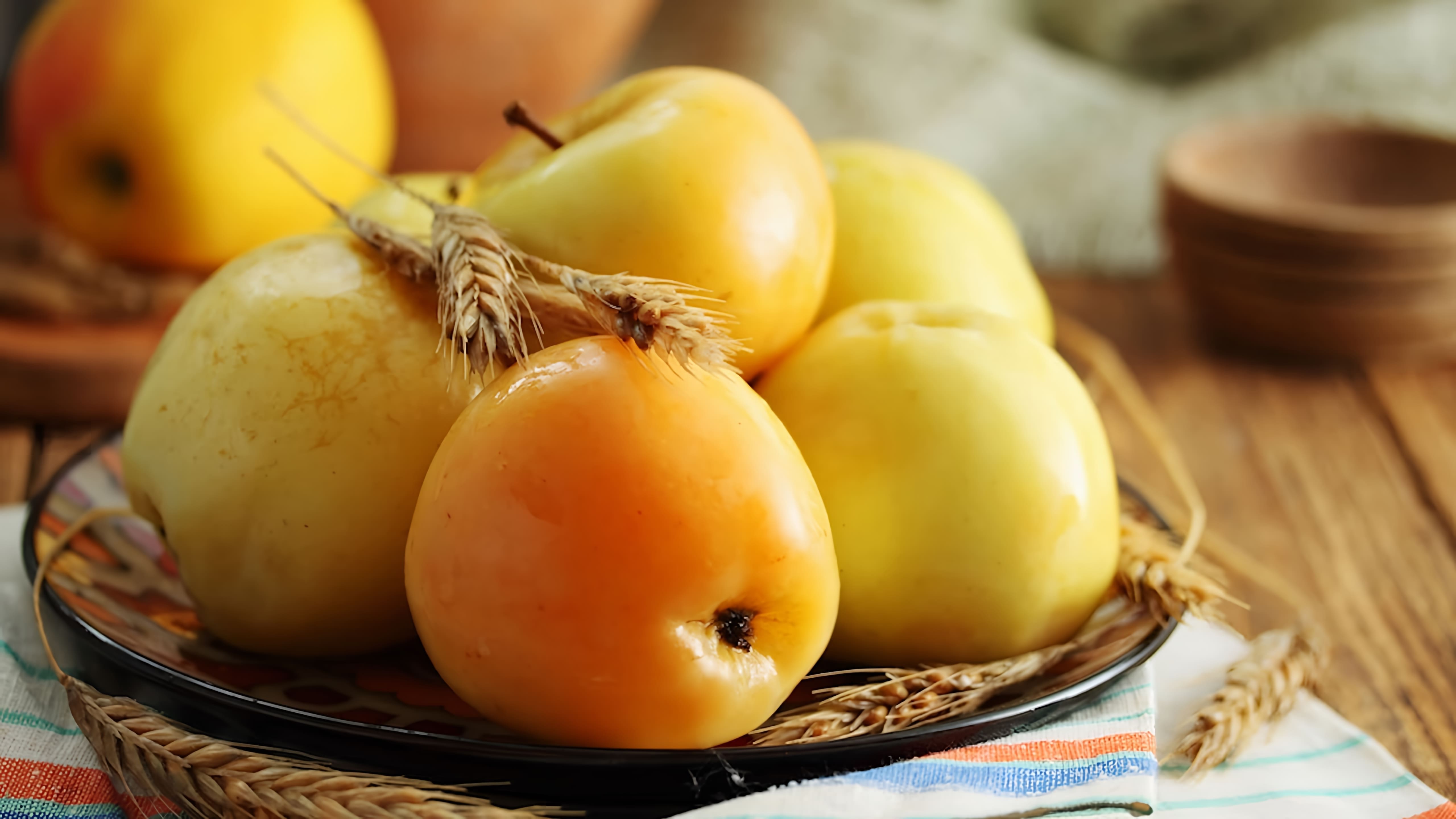 Судогодский эксперт поделилась секретом приготовления легендарных моченых яблок
