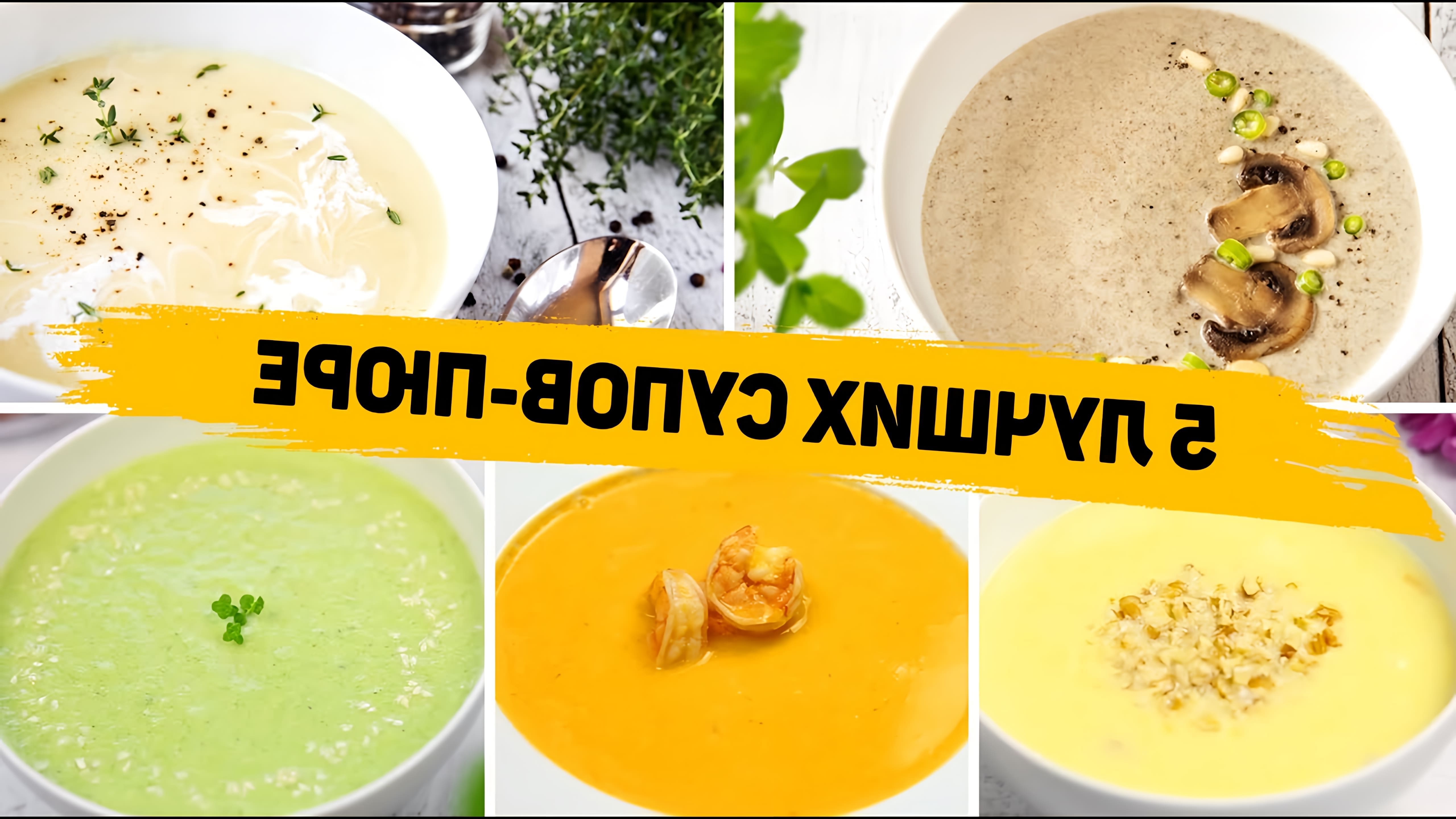 Видео рецепты для 5 различных кремовых супов, которые легко приготовить и понравятся всем
