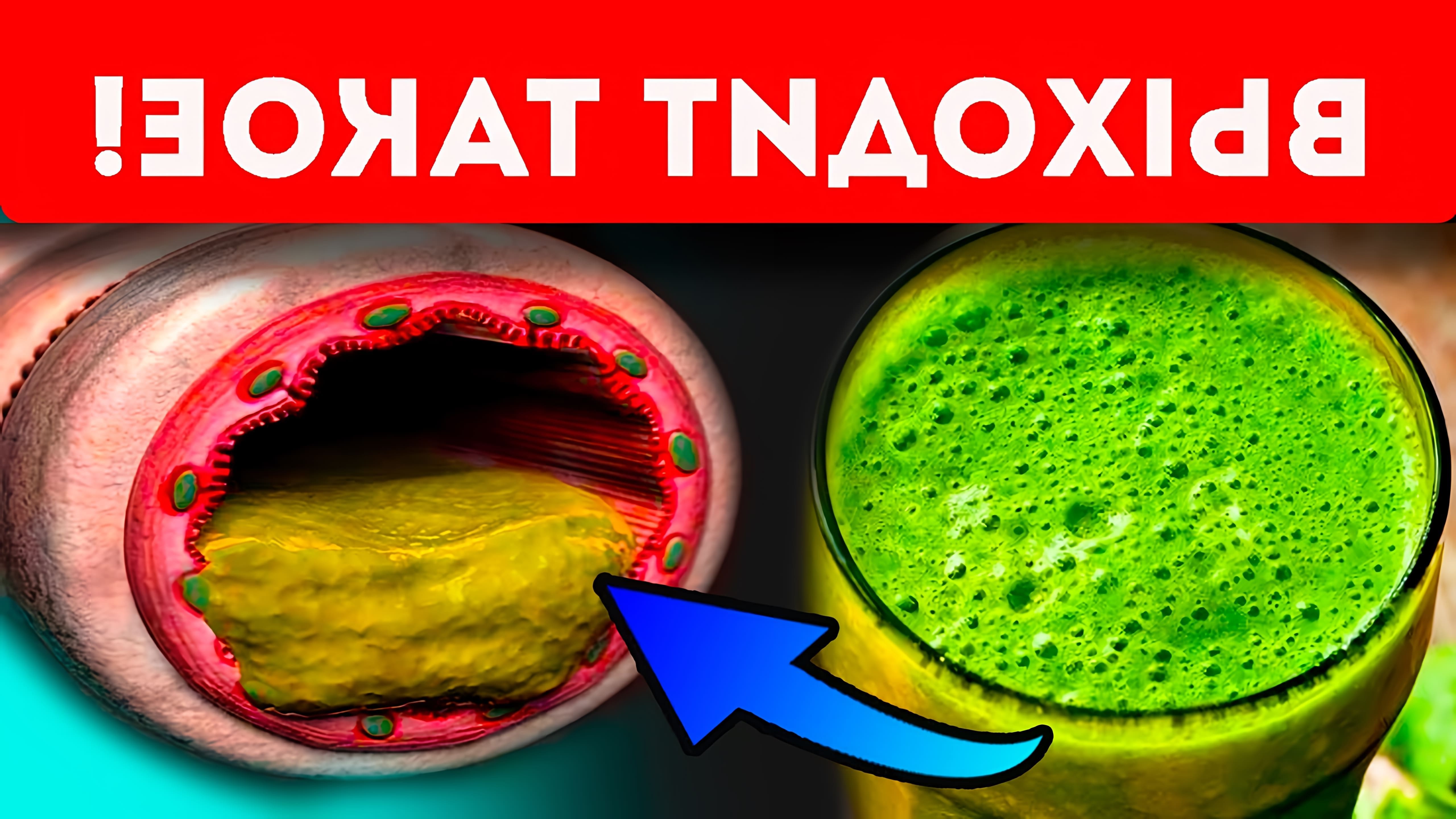 Как быстро вывести токсины из тела? Какие продукты выводят токсины? Зашлакованность организма, что это? Почему... 
