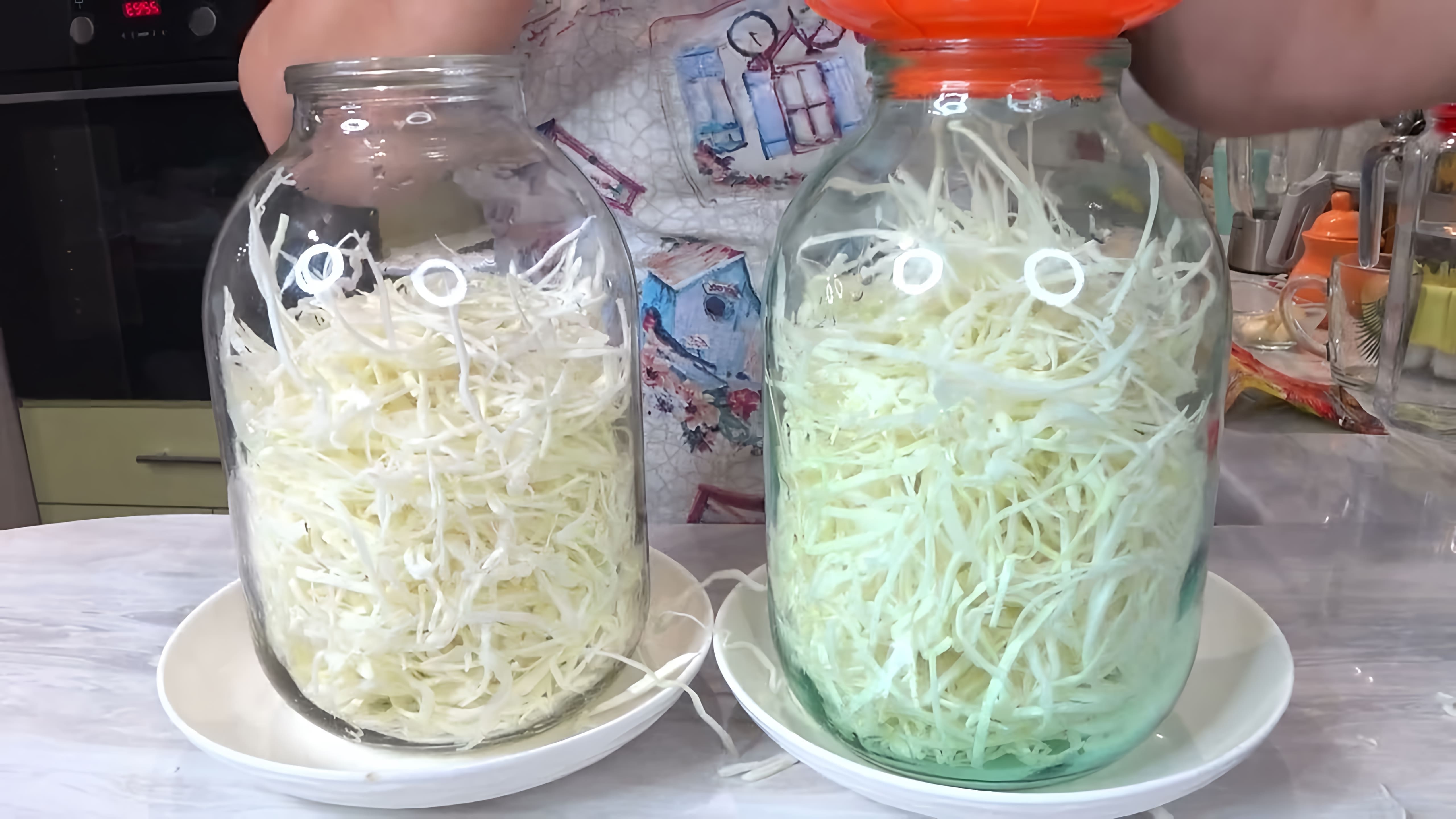 В данном видео демонстрируется процесс приготовления кваса из капусты