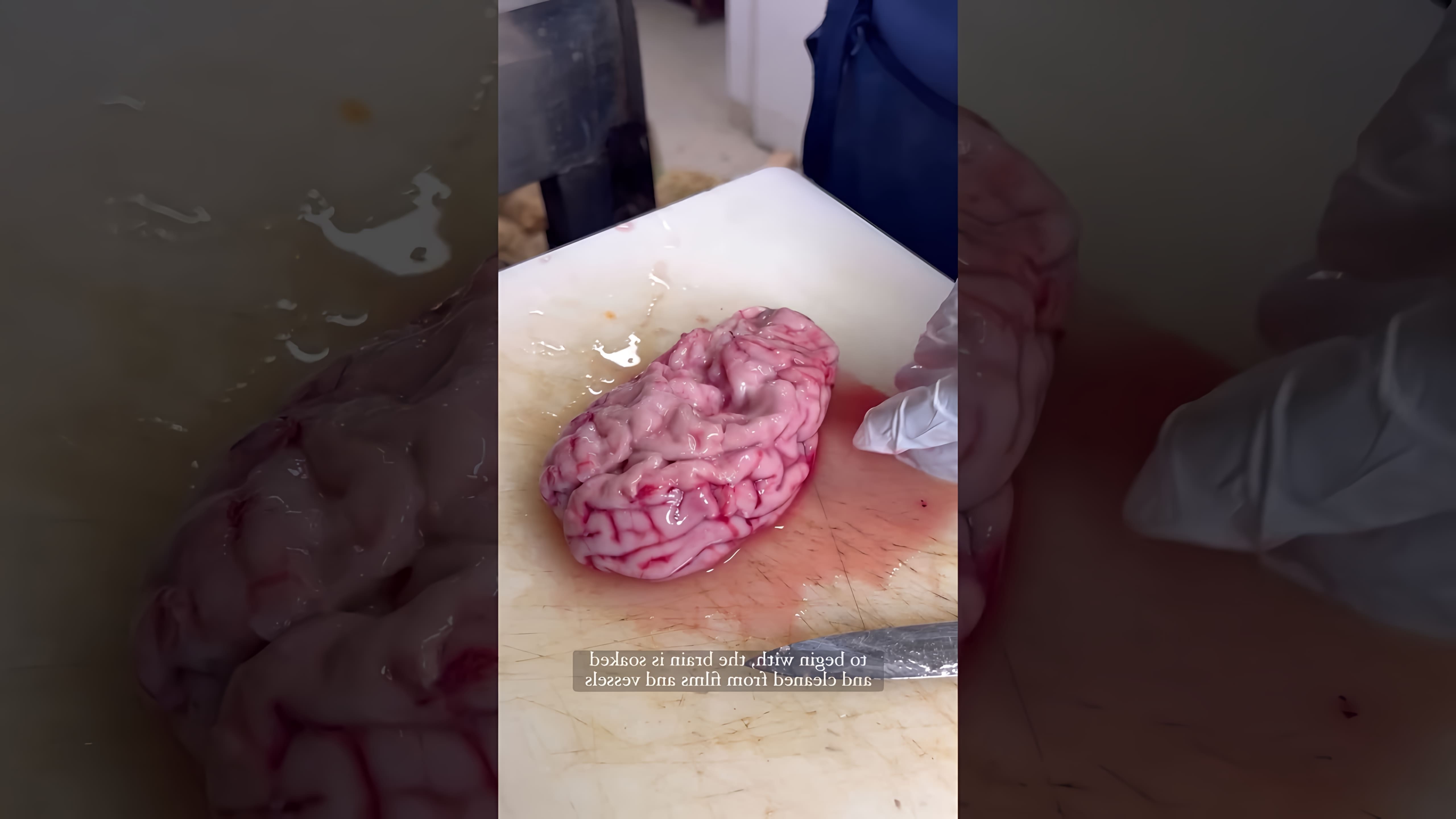 В этом видео демонстрируется процесс приготовления мозга в ресторане с мишленовской звездой в Париже