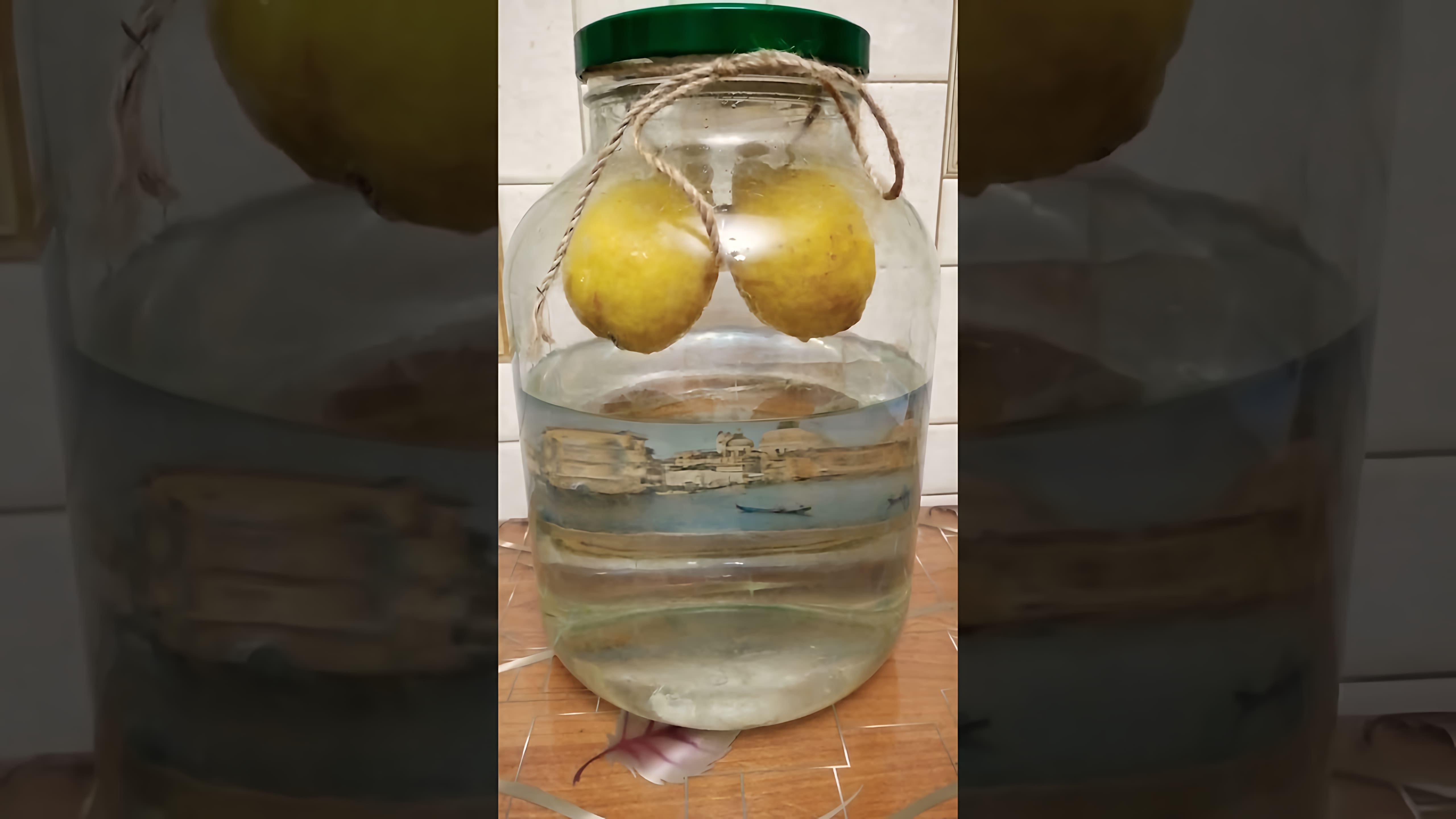 В этом видео демонстрируется процесс приготовления лимонной настойки