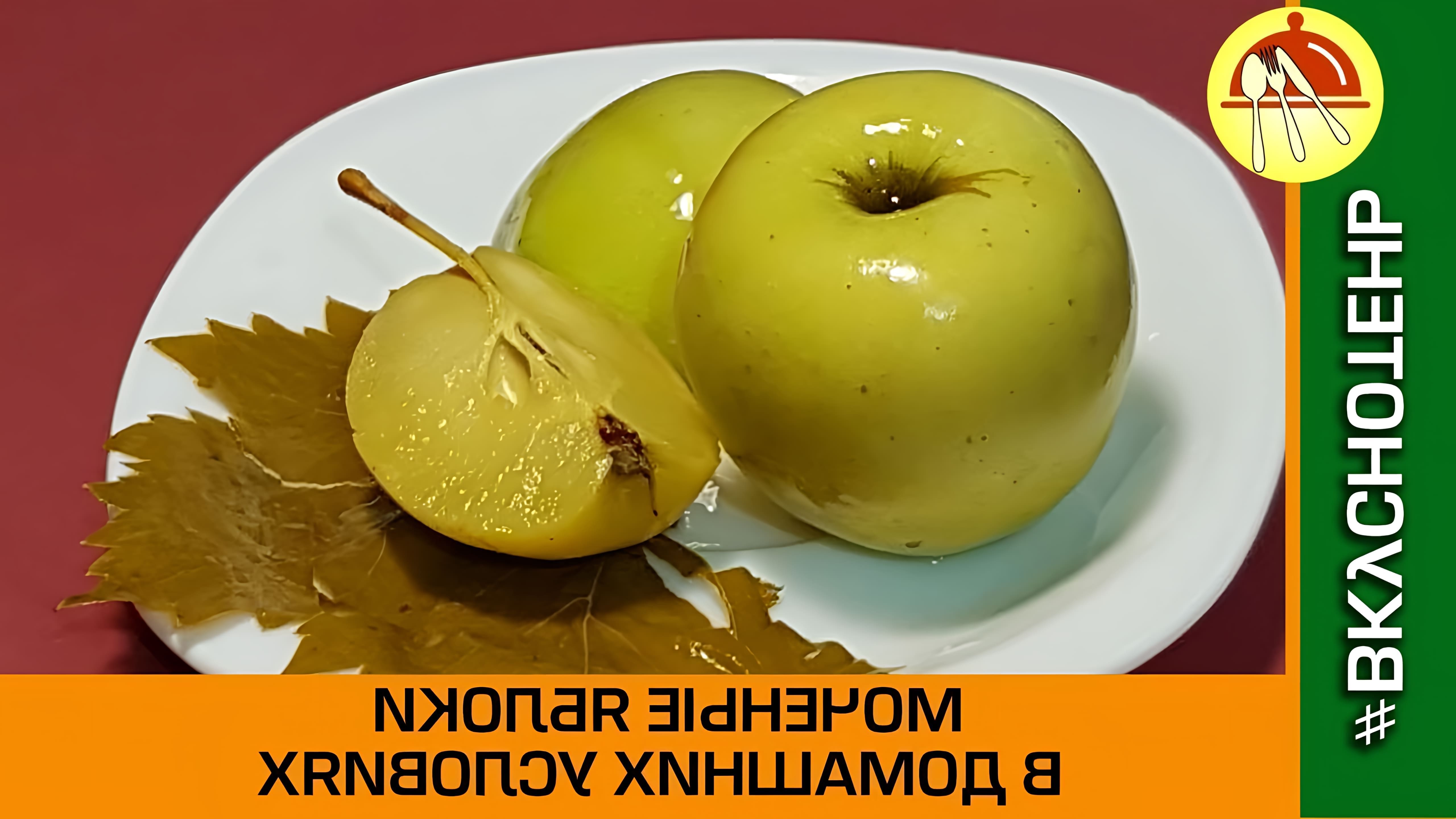В этом видео демонстрируется процесс приготовления моченых яблок в домашних условиях