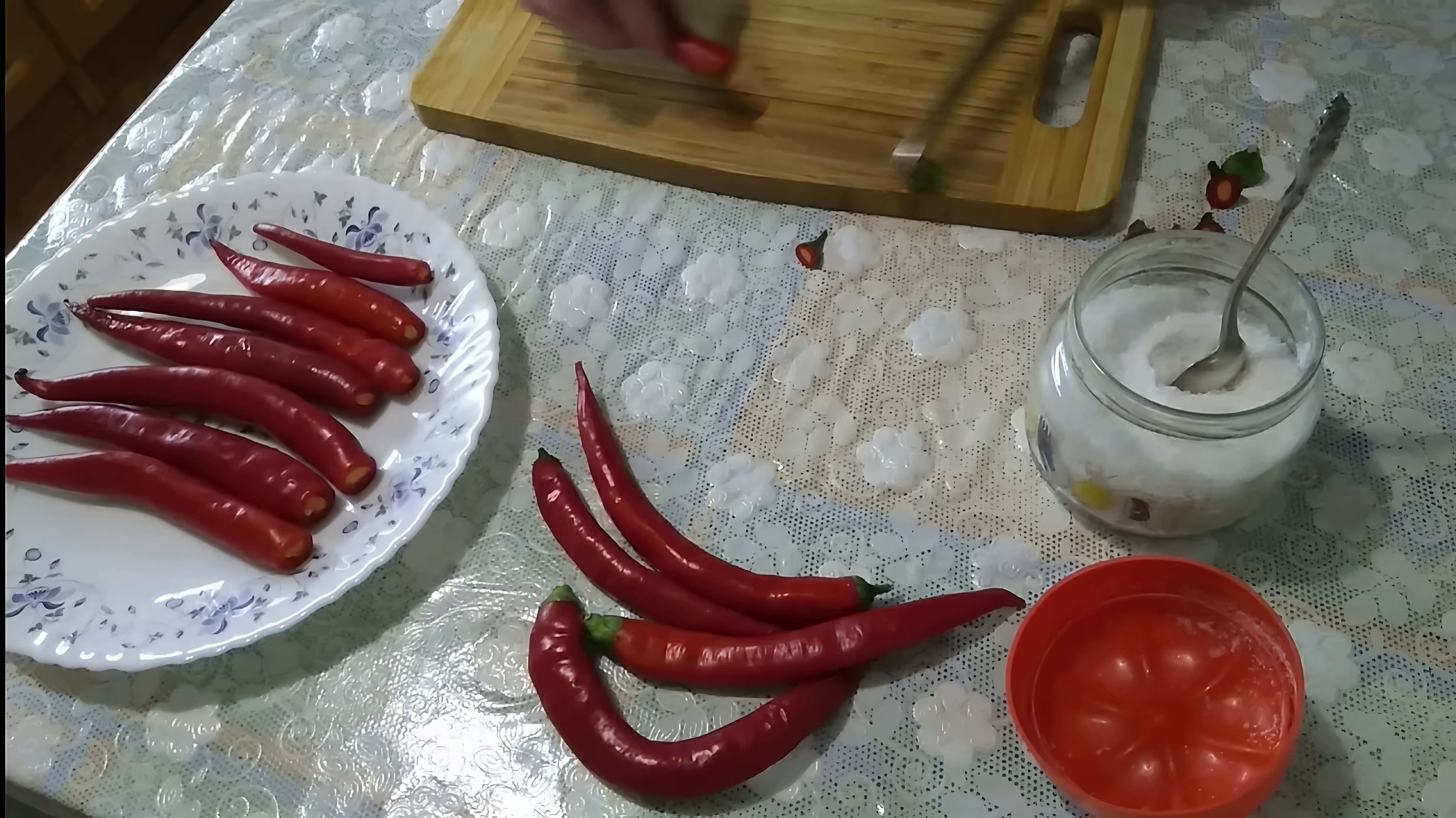 В этом видео Татьяна показывает, как приготовить острую приправу из горького красного перца