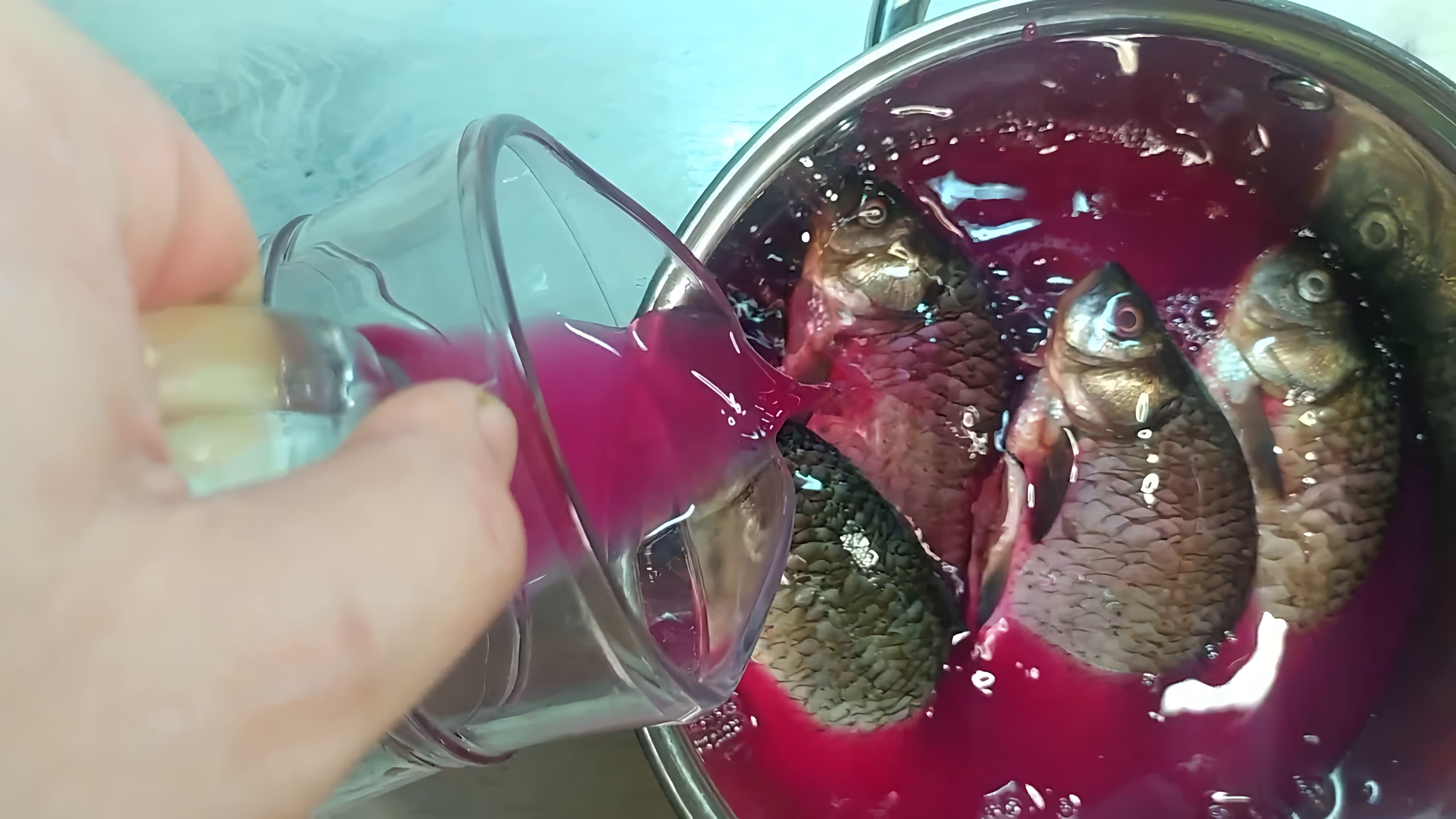 В данном видео демонстрируется рецепт отварной рыбы, который использовался в прошлом, когда не было супермаркетов и магазинов