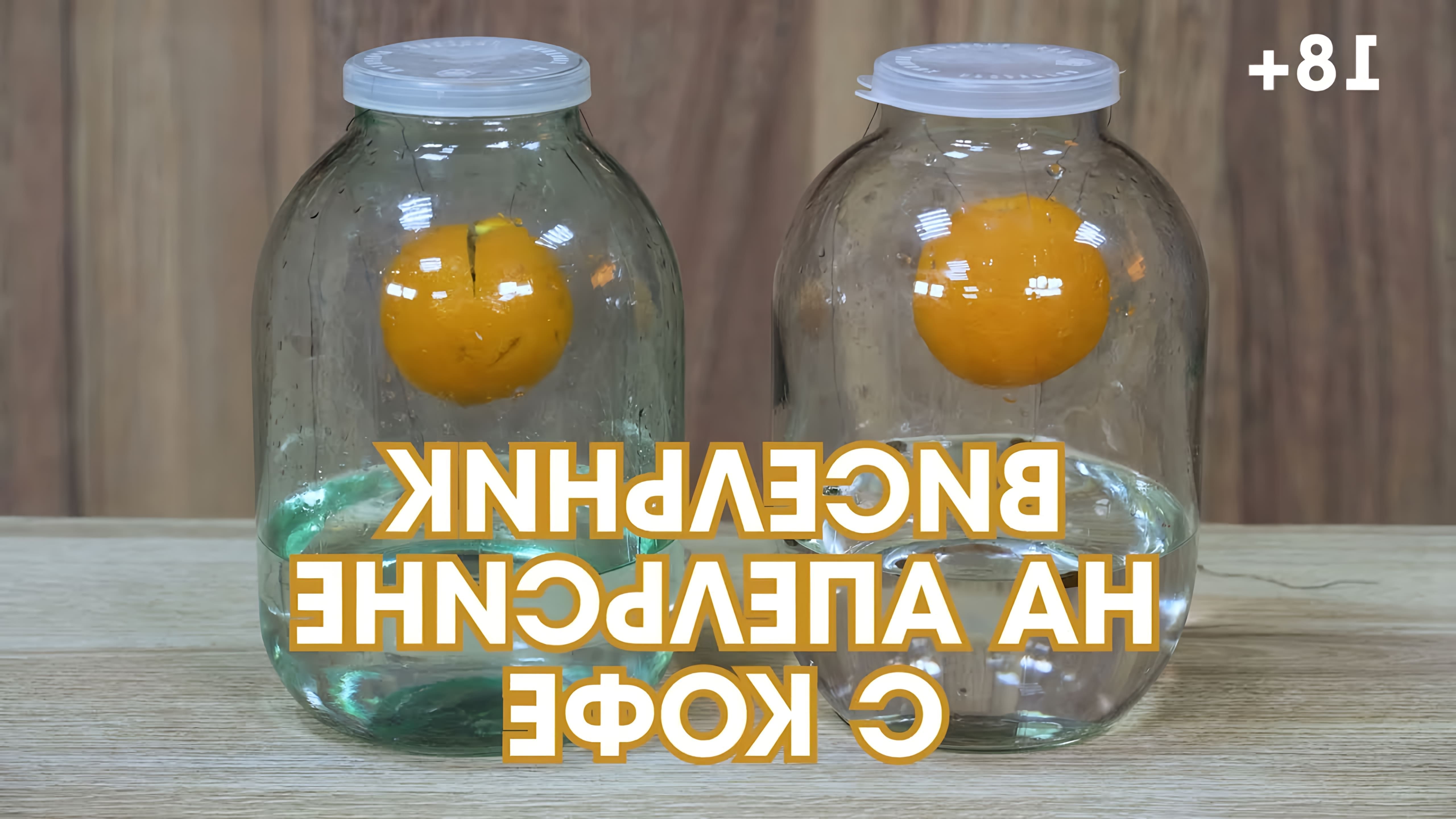 В этом видео Светлана, ведущая канала "Начинающие Винокуры сюрликбез", рассказывает о двух вариантах настойки "Висельник" на апельсине с кофе