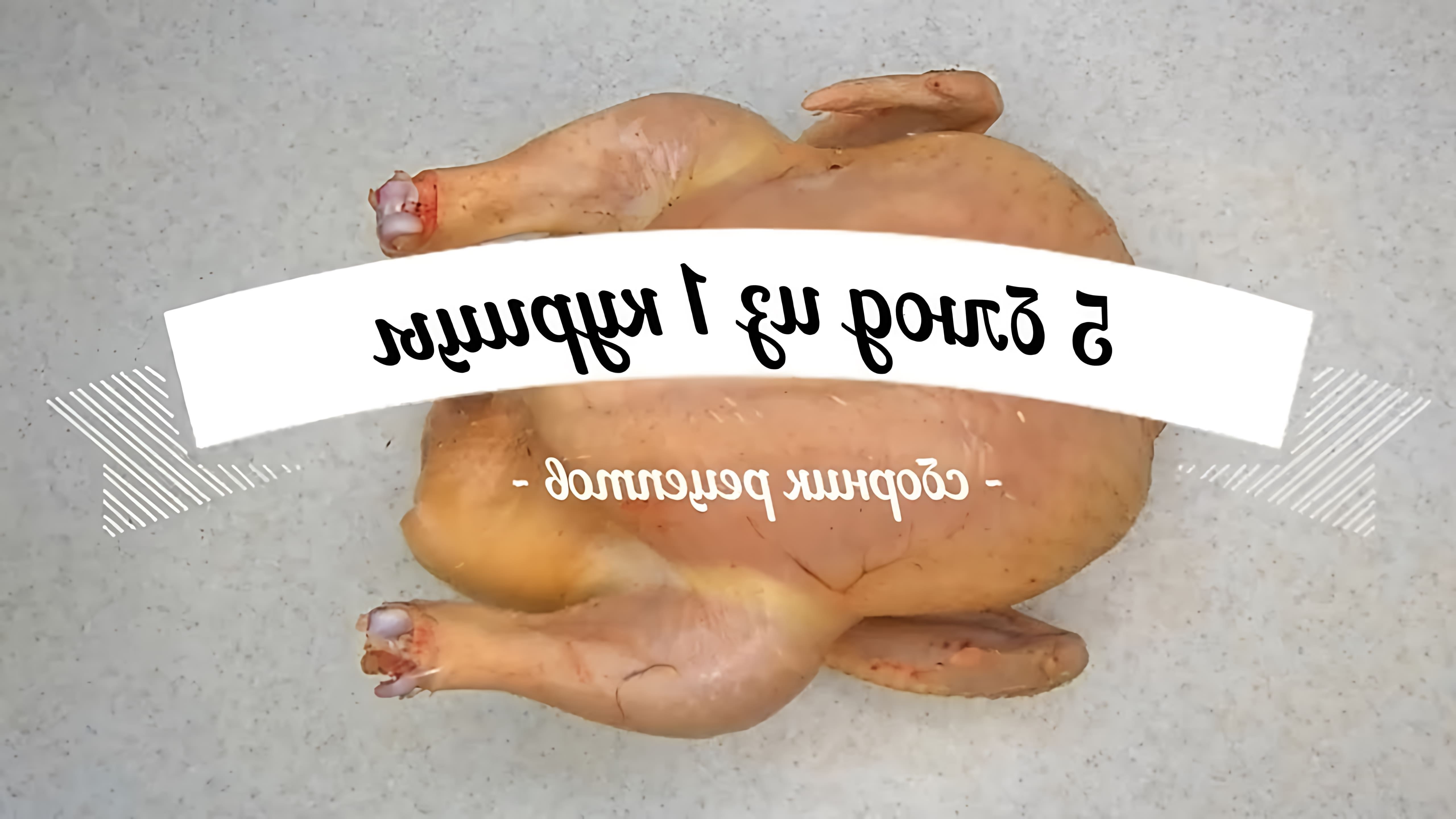 В этом видео-ролике будут представлены 5 простых и доступных рецептов блюд из курицы, которые можно приготовить без особых усилий