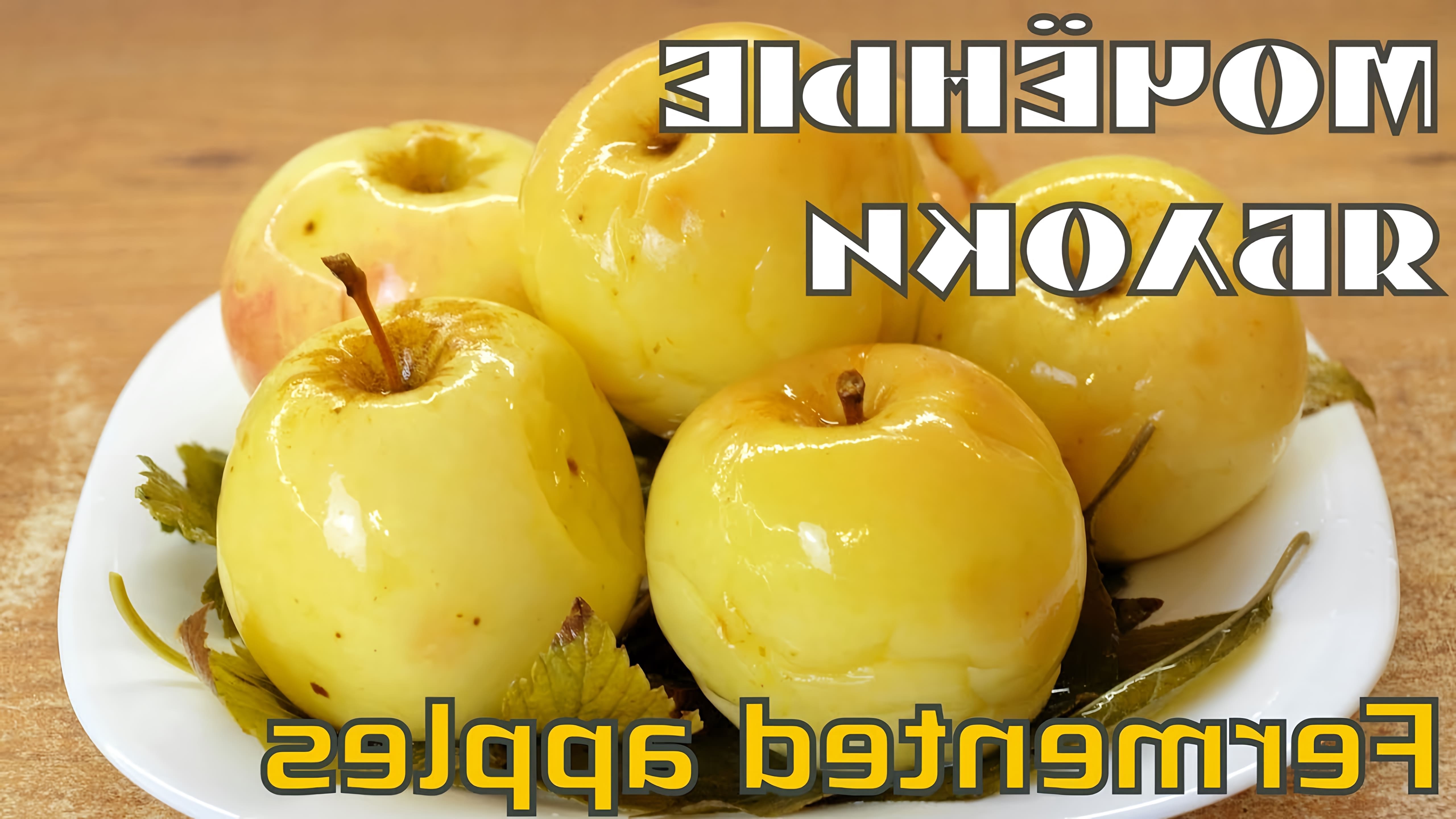 В данном видео Елена Баженова показывает, как приготовить мочёные яблоки в банках