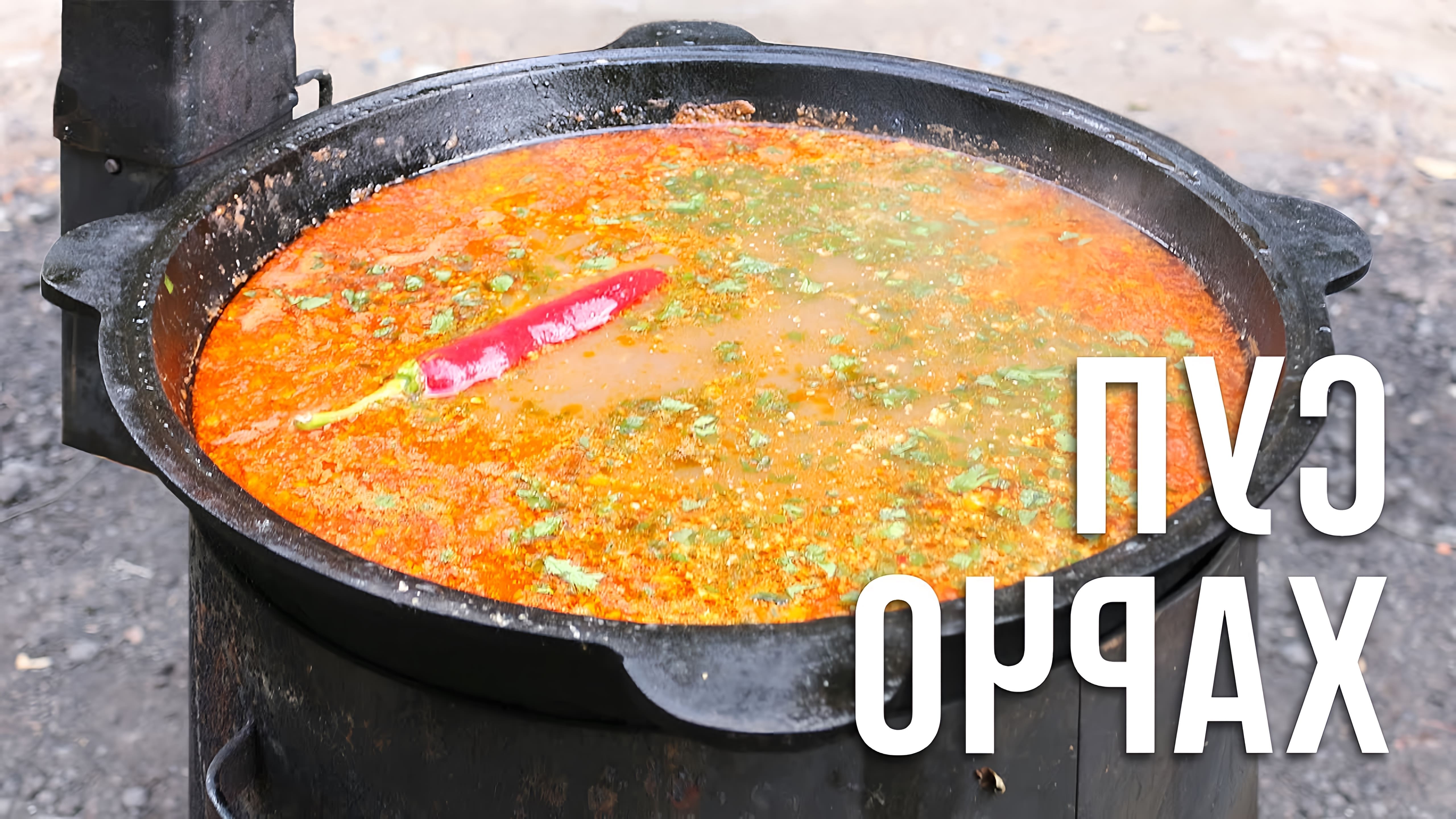 В данном видео демонстрируется процесс приготовления супа харчо в казане на костре