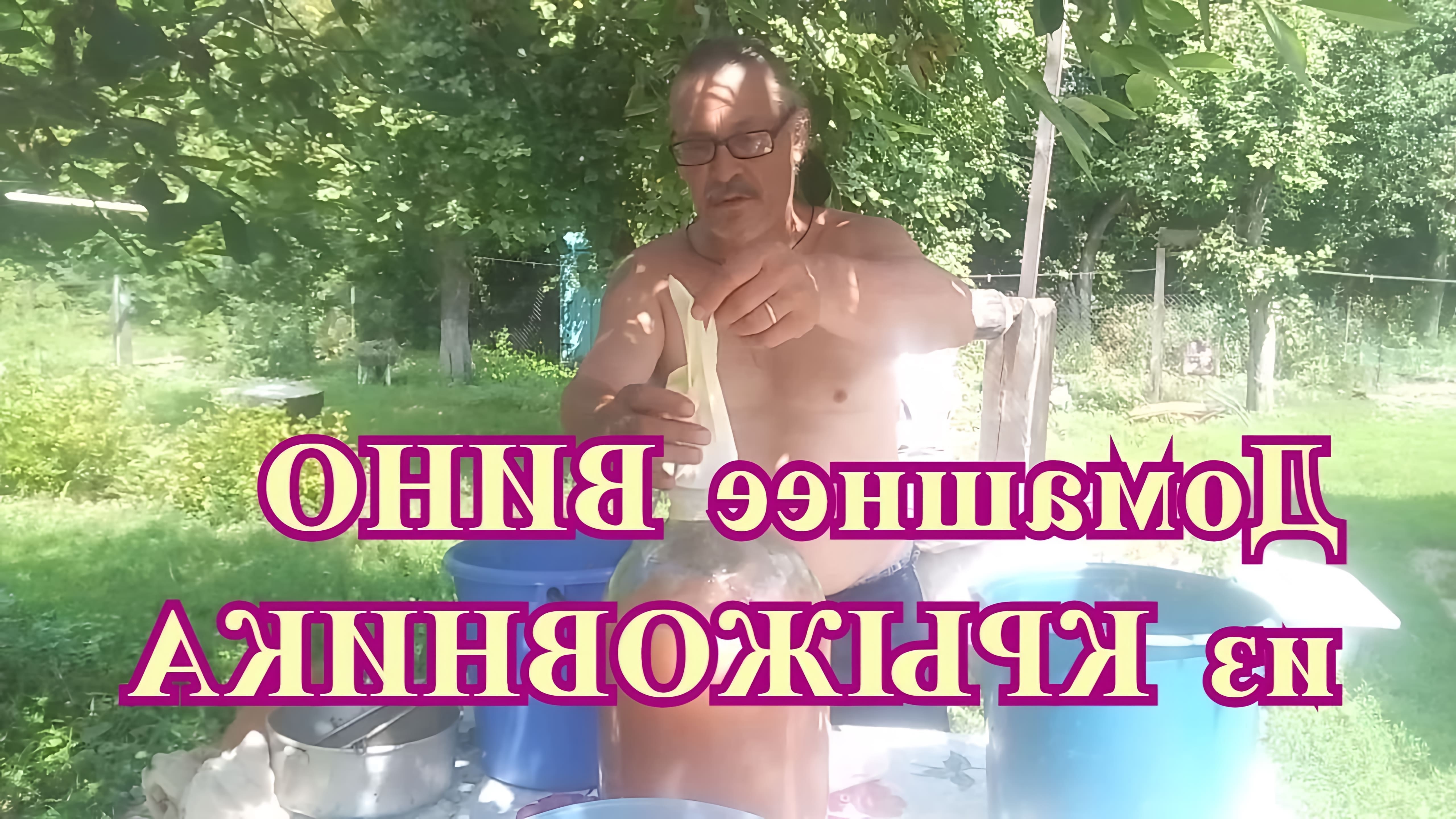 В данном видео демонстрируется процесс приготовления домашнего вина из крыжовника