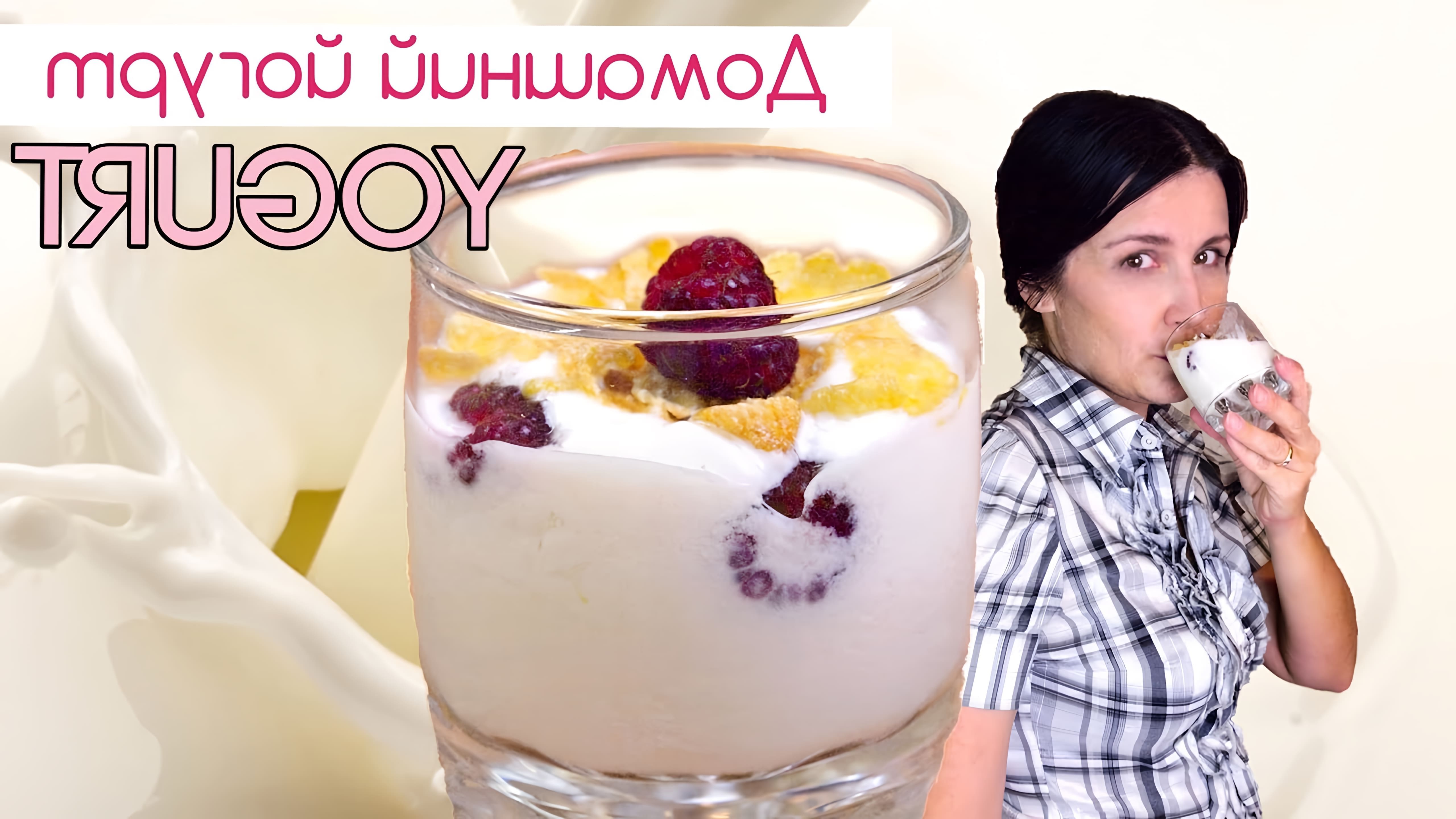 В данном видео Елена Баженова показывает, как приготовить домашний йогурт из молока и закваски