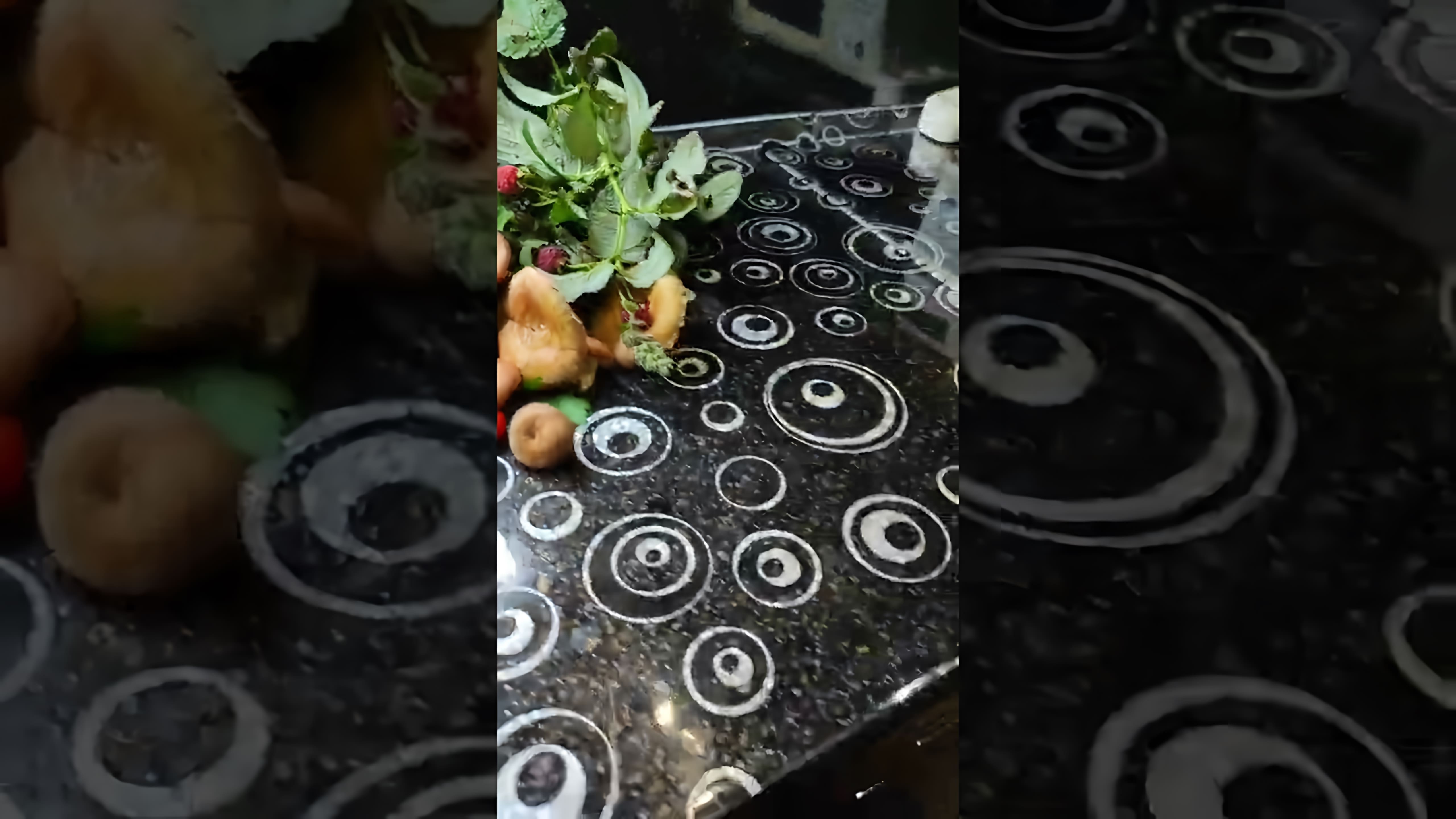 В этом видео демонстрируется процесс засолки грибов волнушек