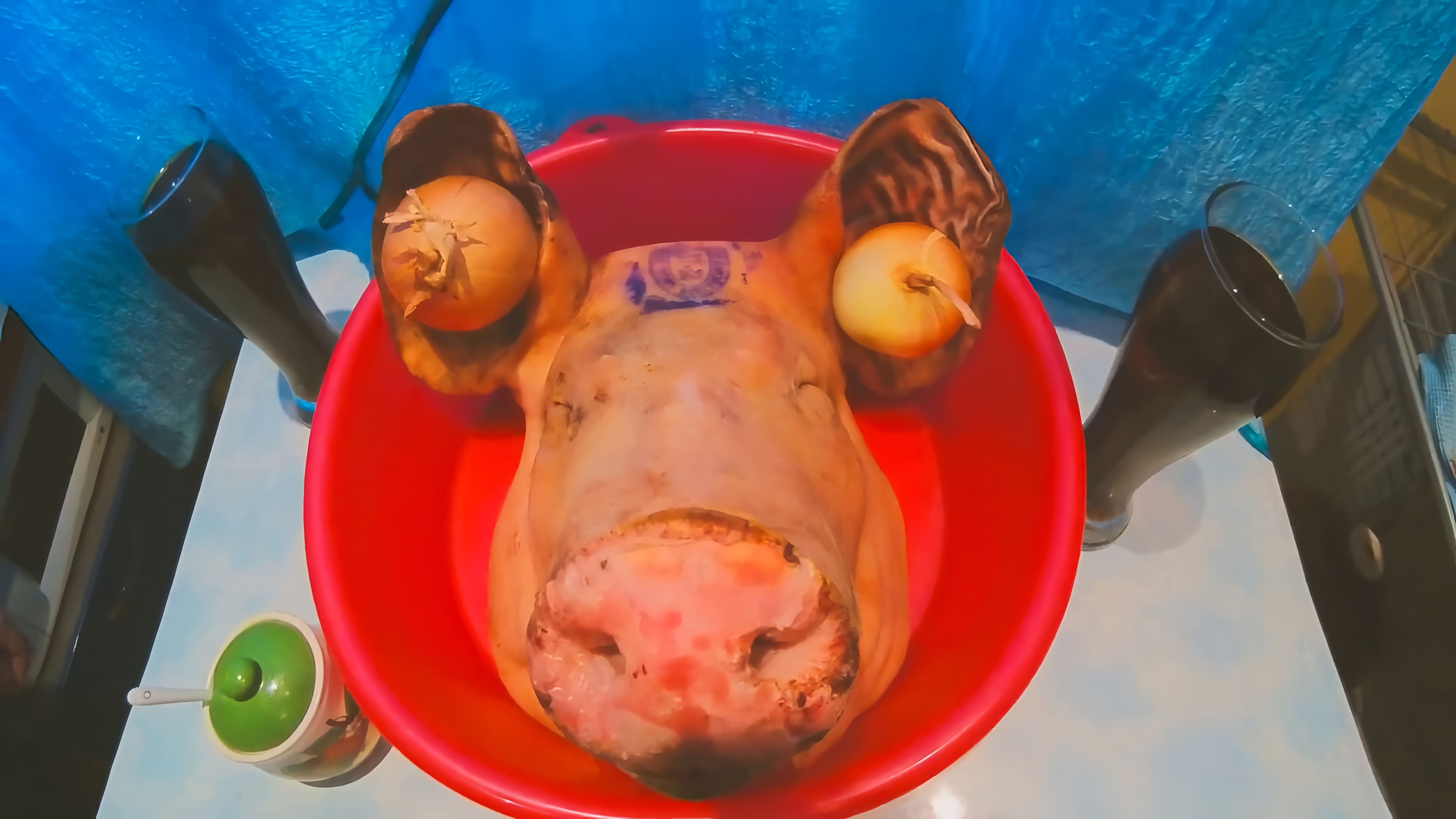 В данном видео демонстрируется процесс приготовления мясного рулета из свиной головы