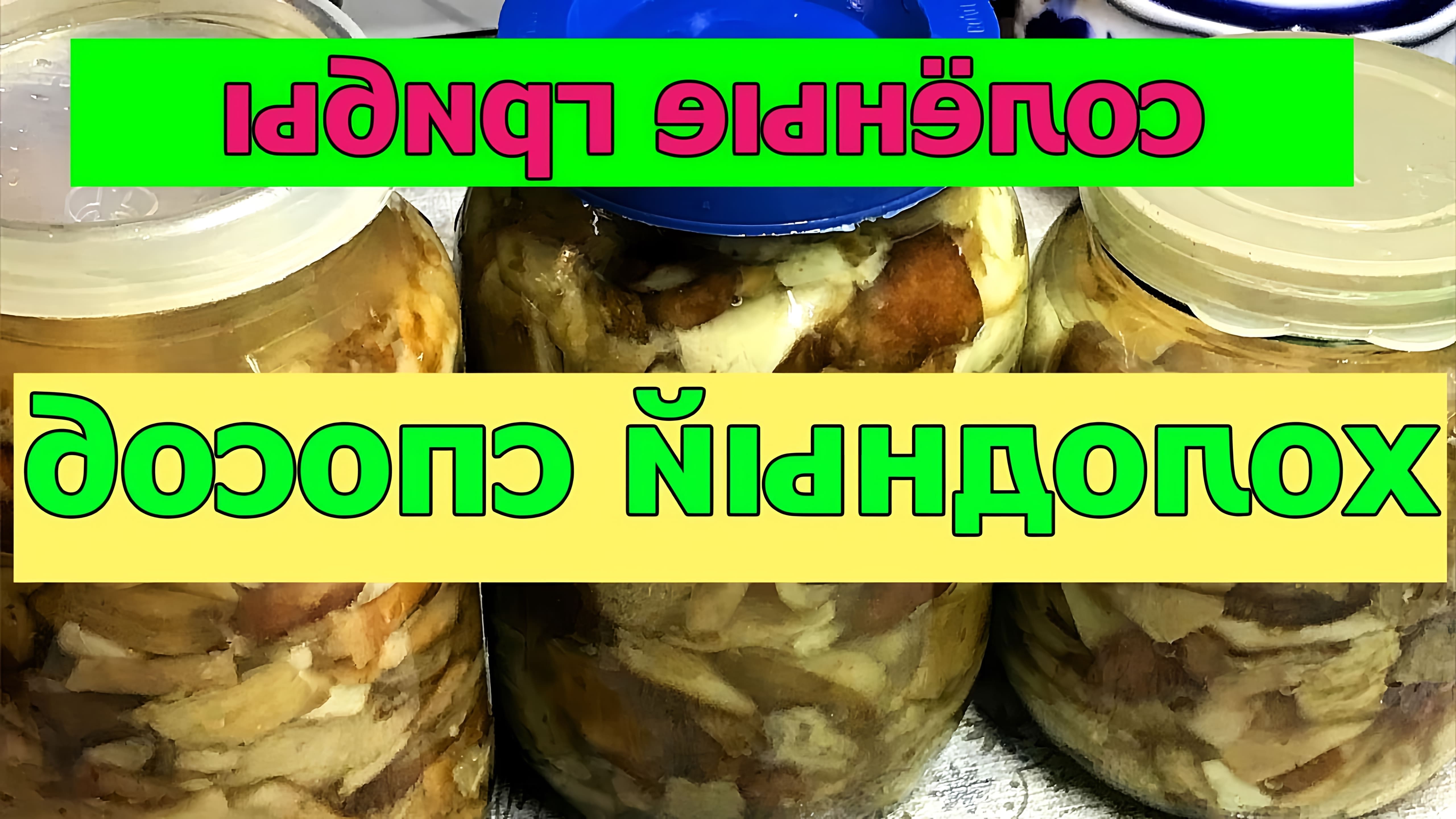 В этом видео демонстрируется процесс приготовления грибов волнушек холодным способом