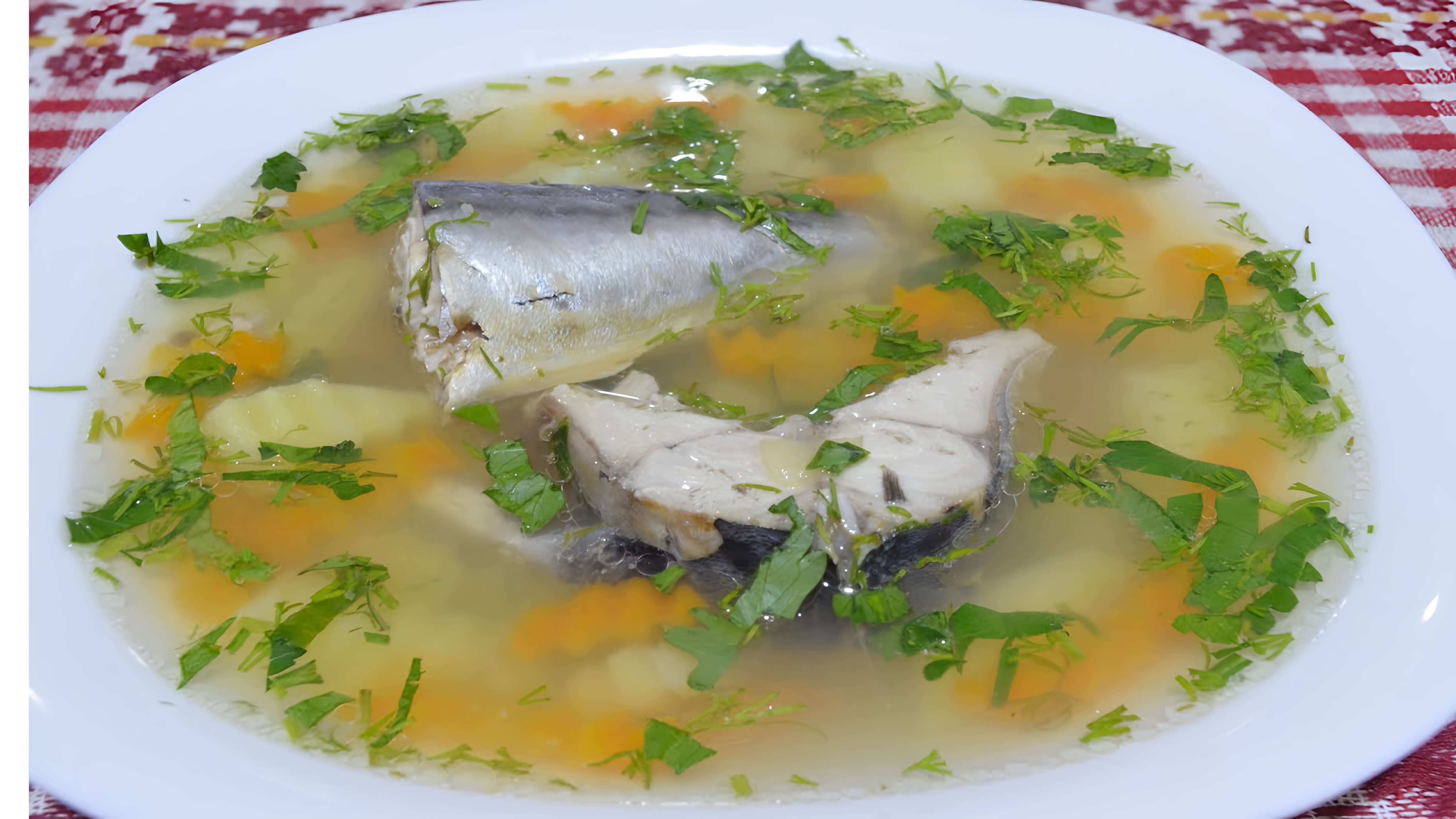 В этом видео демонстрируется процесс приготовления вкусного супа из скумбрии без специфического запаха