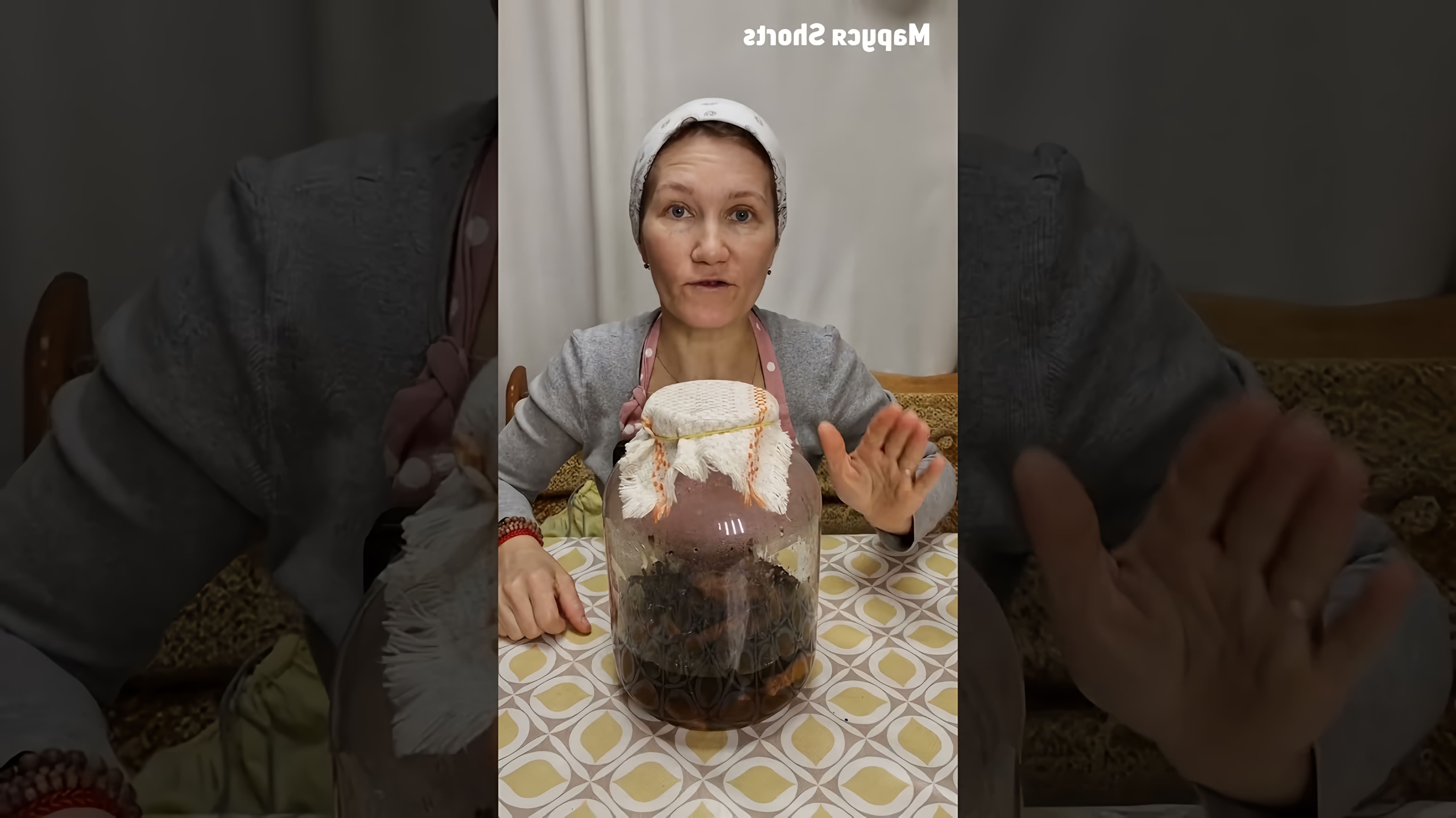 В этом видео демонстрируется процесс приготовления домашнего хлебного кваса из сухарей