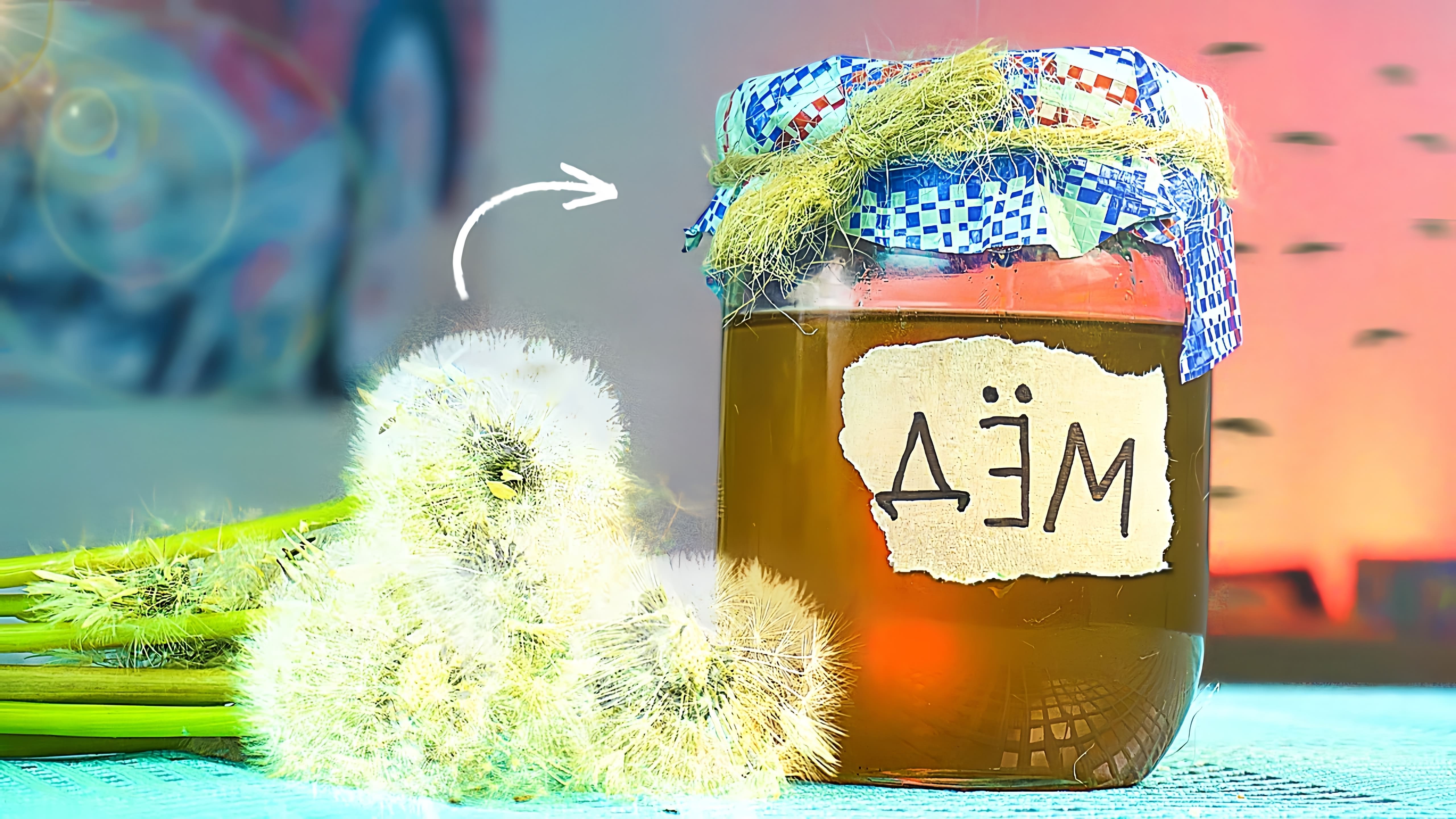 В этом видео рассказывается о том, как сделать мед из одуванчиков