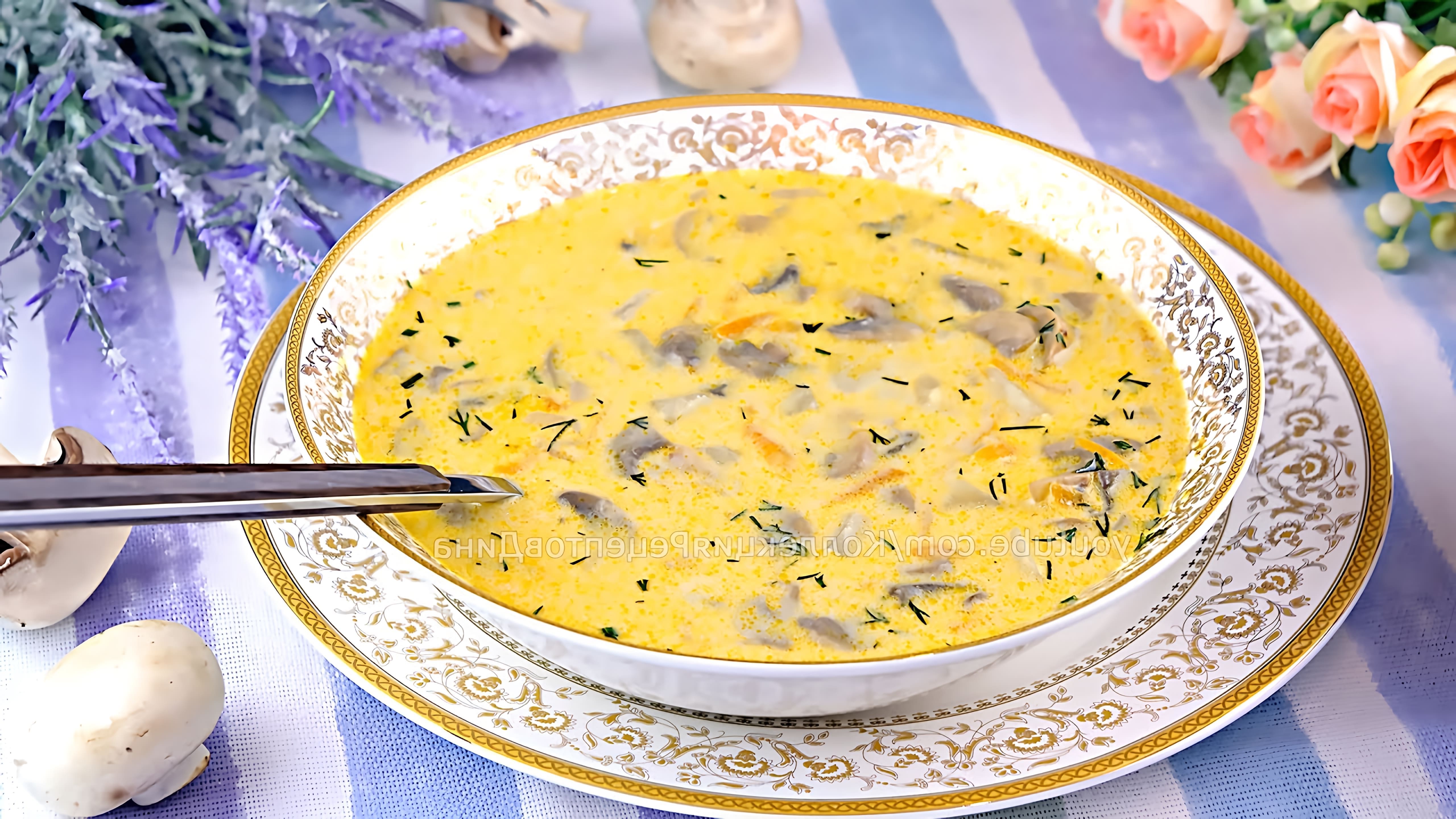 Видео рецепт кремового супа с сыром и грибами