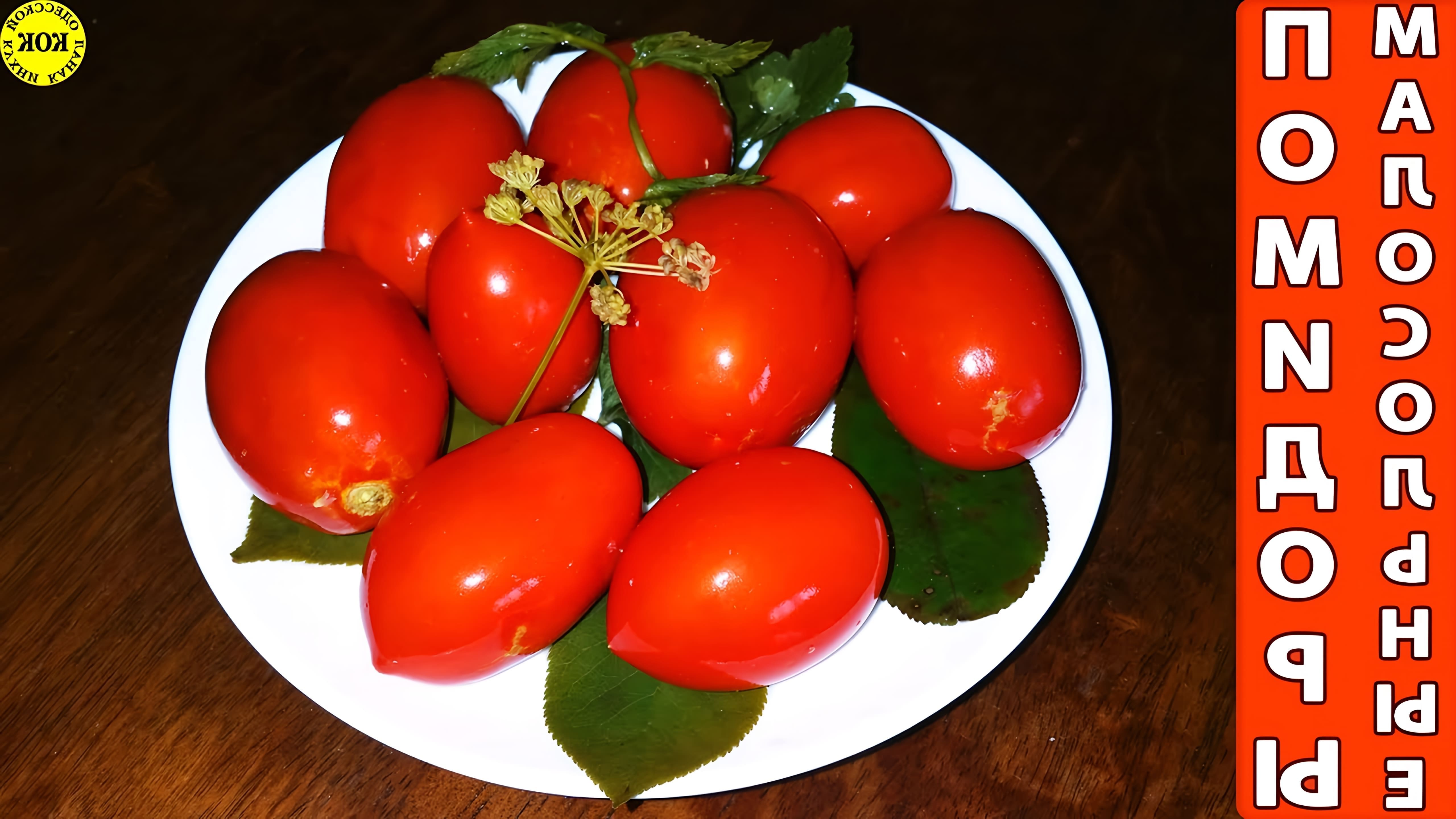 В этом видео-ролике вы увидите, как приготовить шикарные малосольные помидоры по-одесски