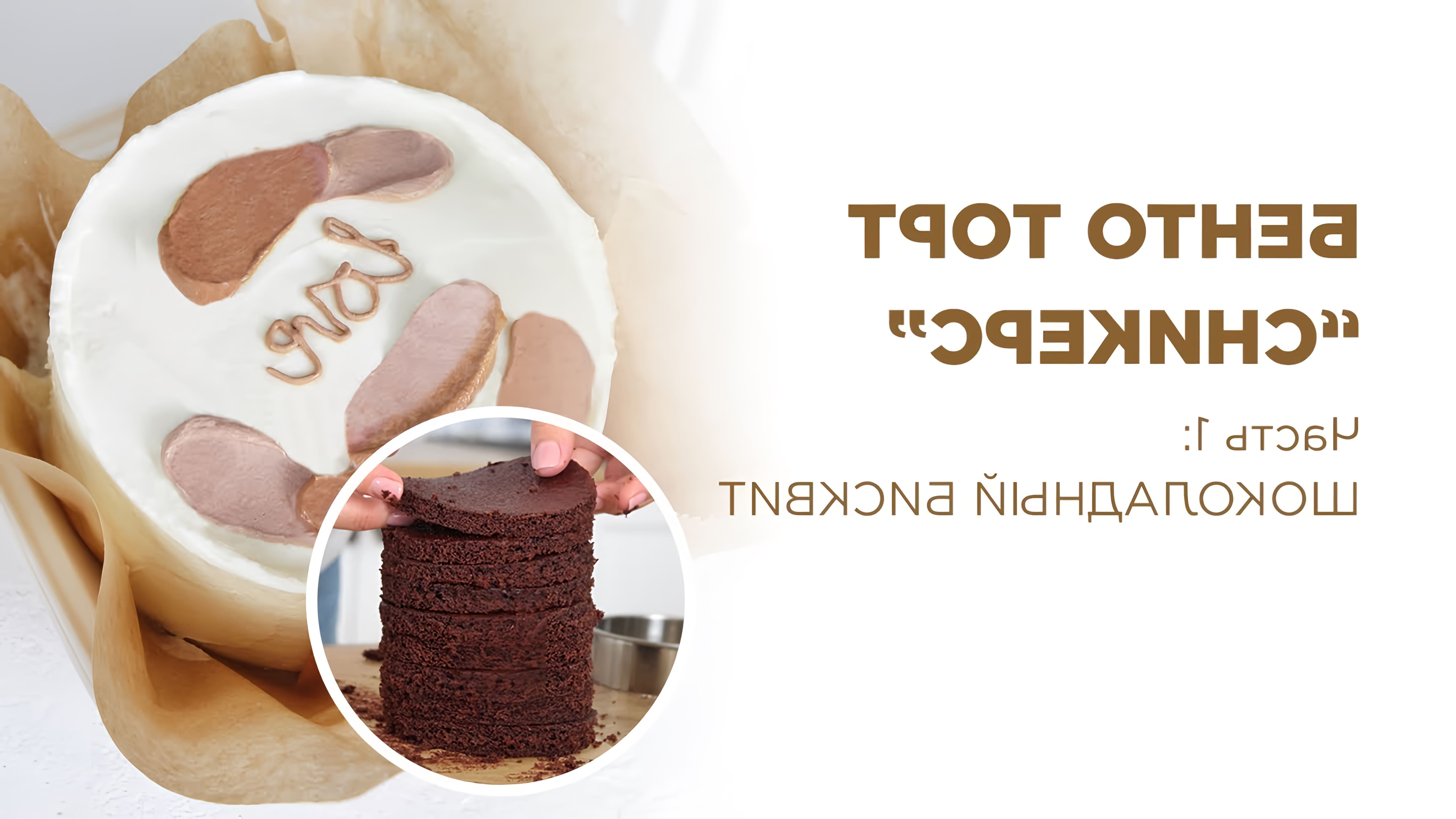 В этом видео демонстрируется процесс приготовления шоколадного бисквита для bento торта