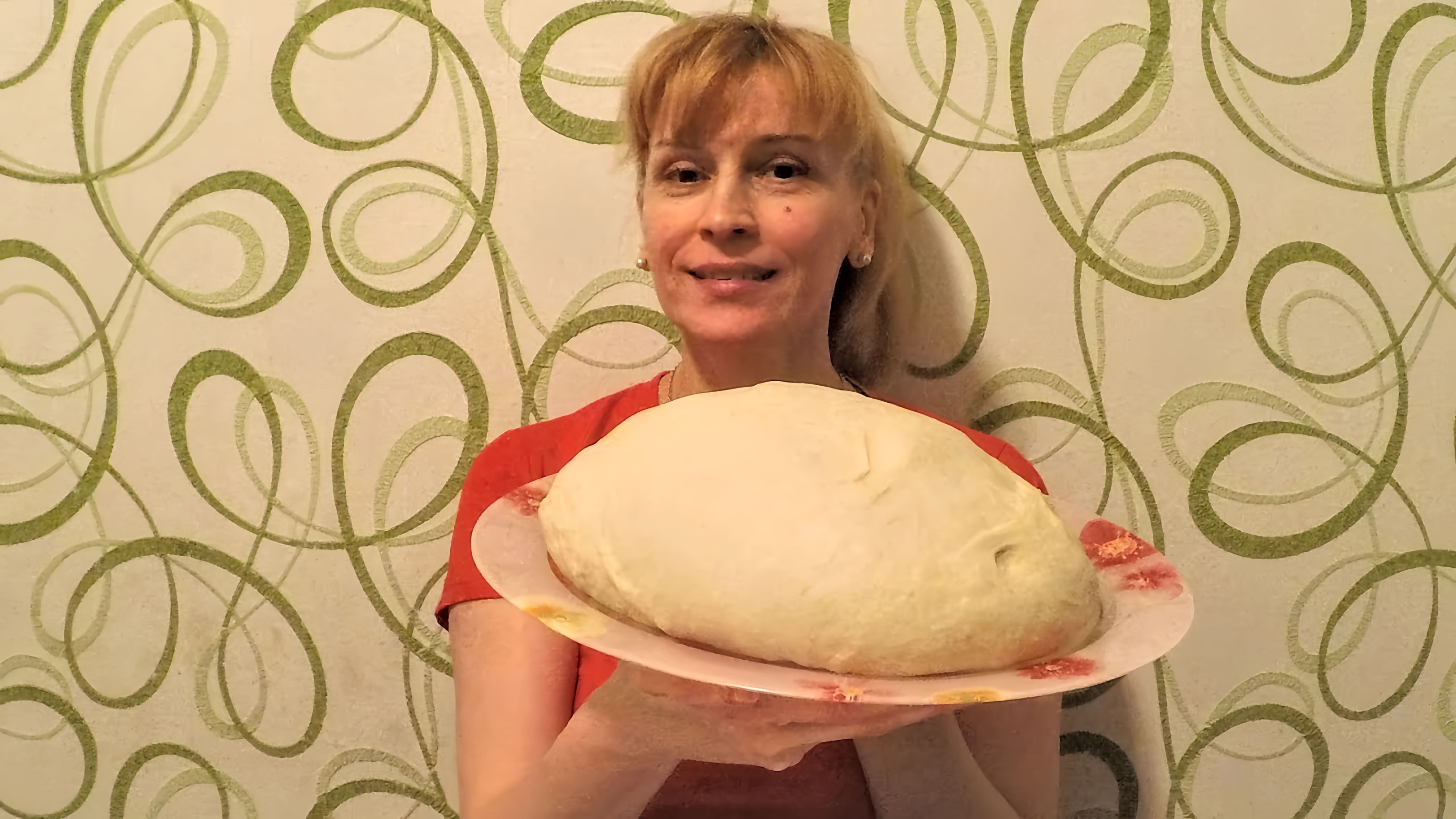 В этом видео Елена показывает, как приготовить дрожжевое тесто для пирожков