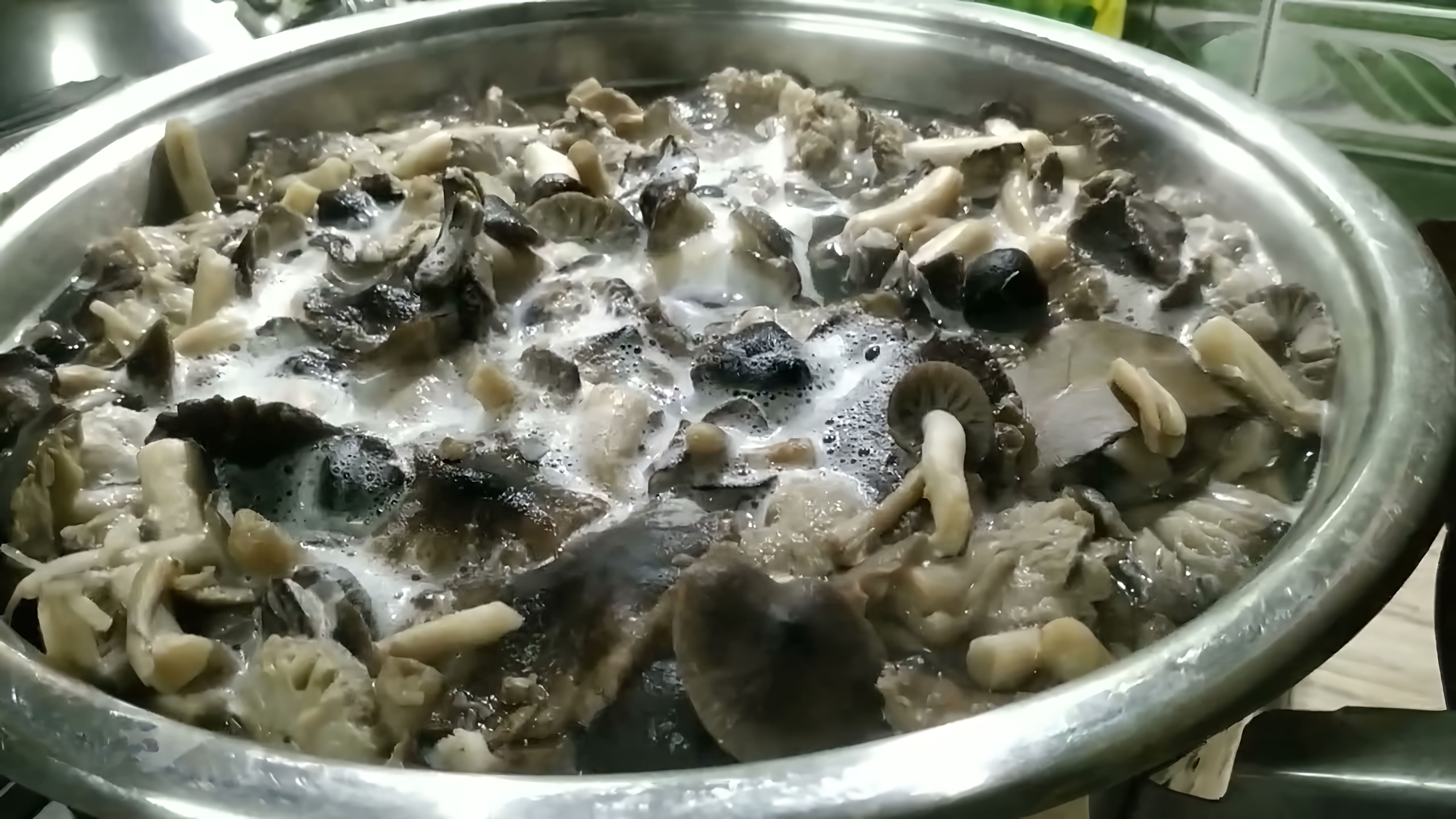 Видео: как приготовить грибы мышата маринованные
