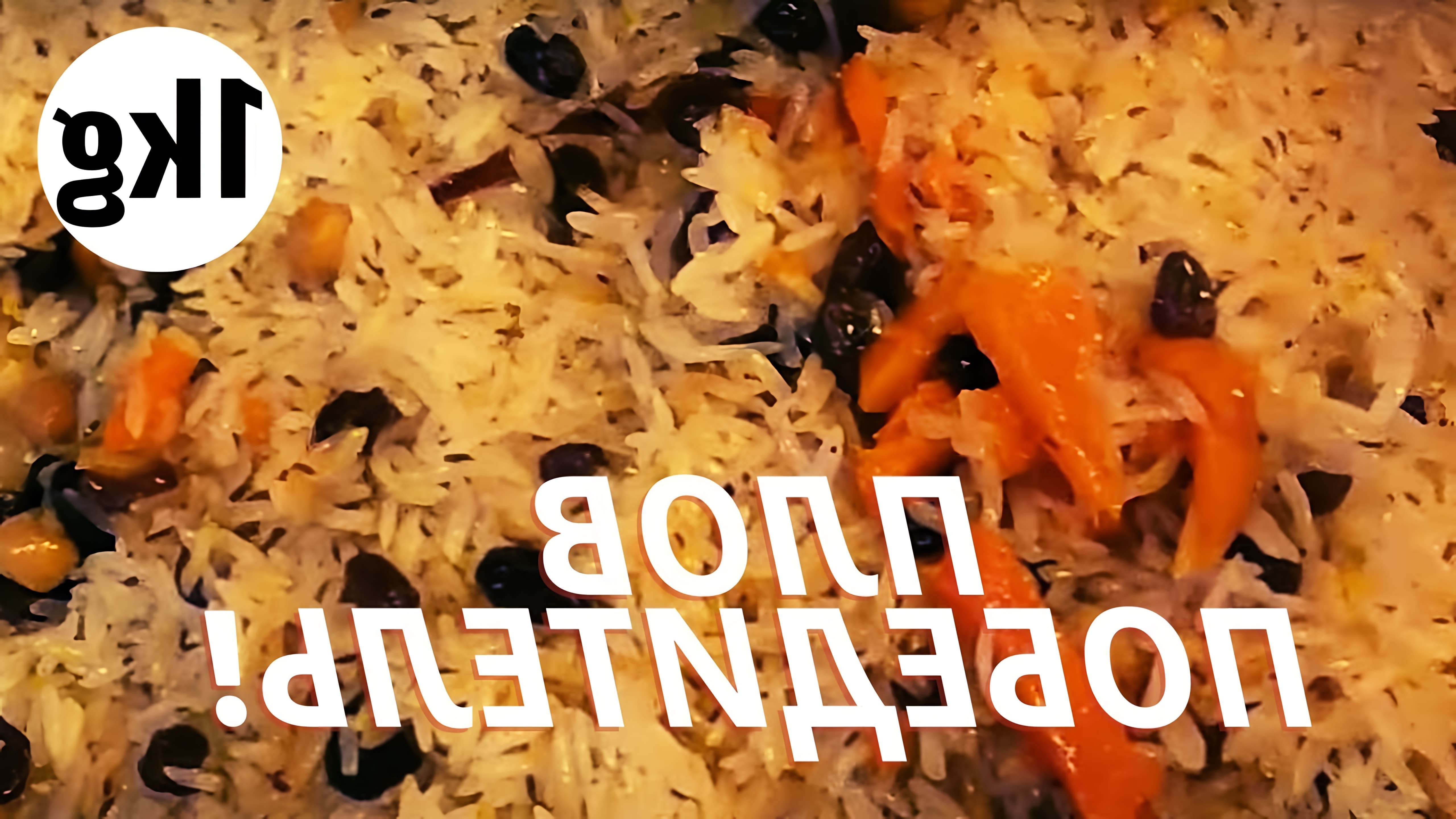 В этом видео-ролике мы увидим, как приготовить плов на 1 кг риса, используя только самые простые ингредиенты