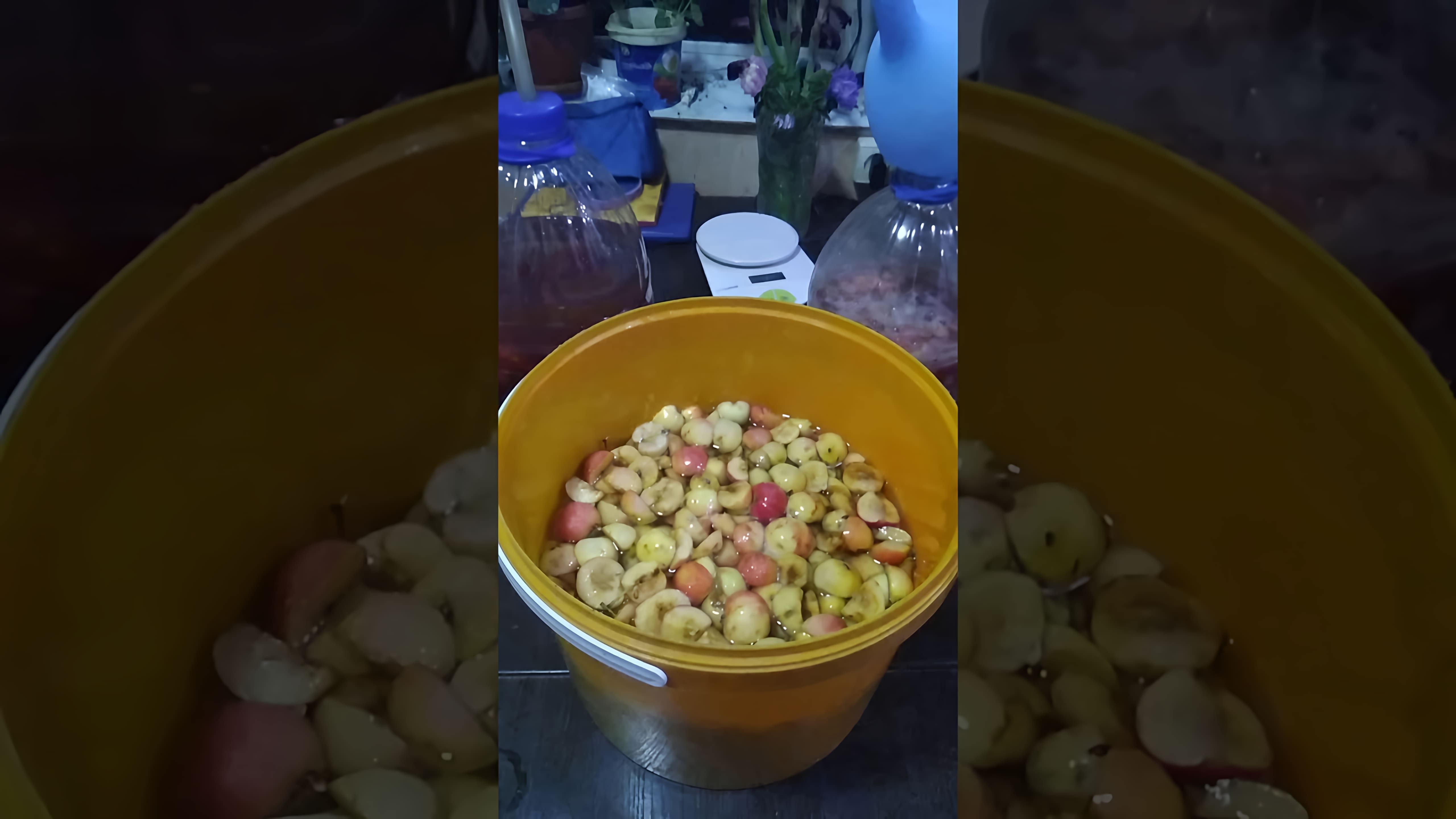 В этом видео демонстрируется процесс приготовления домашнего яблочного сидра из ранеток