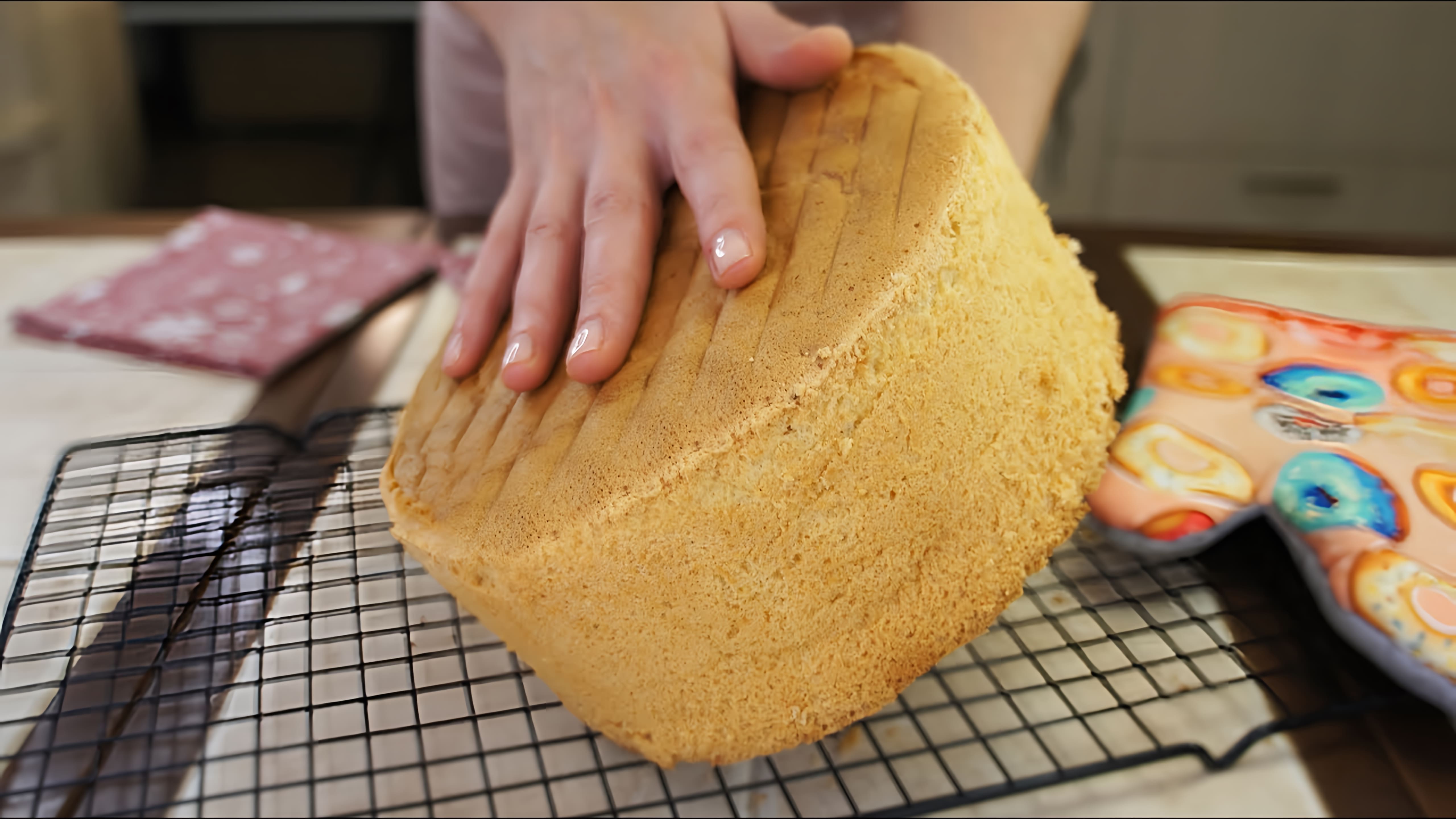 В этом видео Елена, автор канала "Тарталетка", показывает, как приготовить очень пышный и высокий бисквит для торта