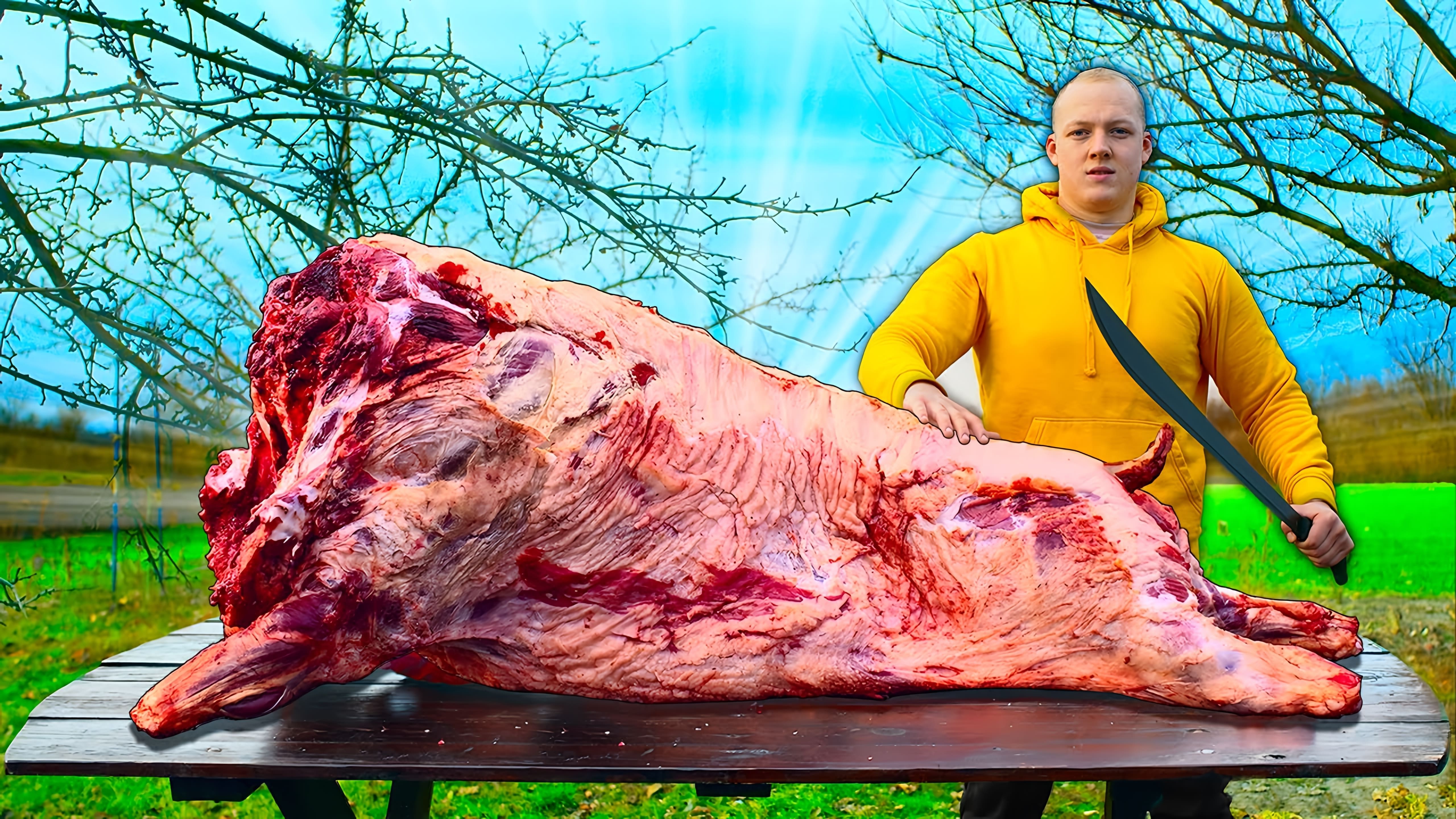 В этом видео рассказывается о приготовлении огромного дикого кабана весом 200 кг