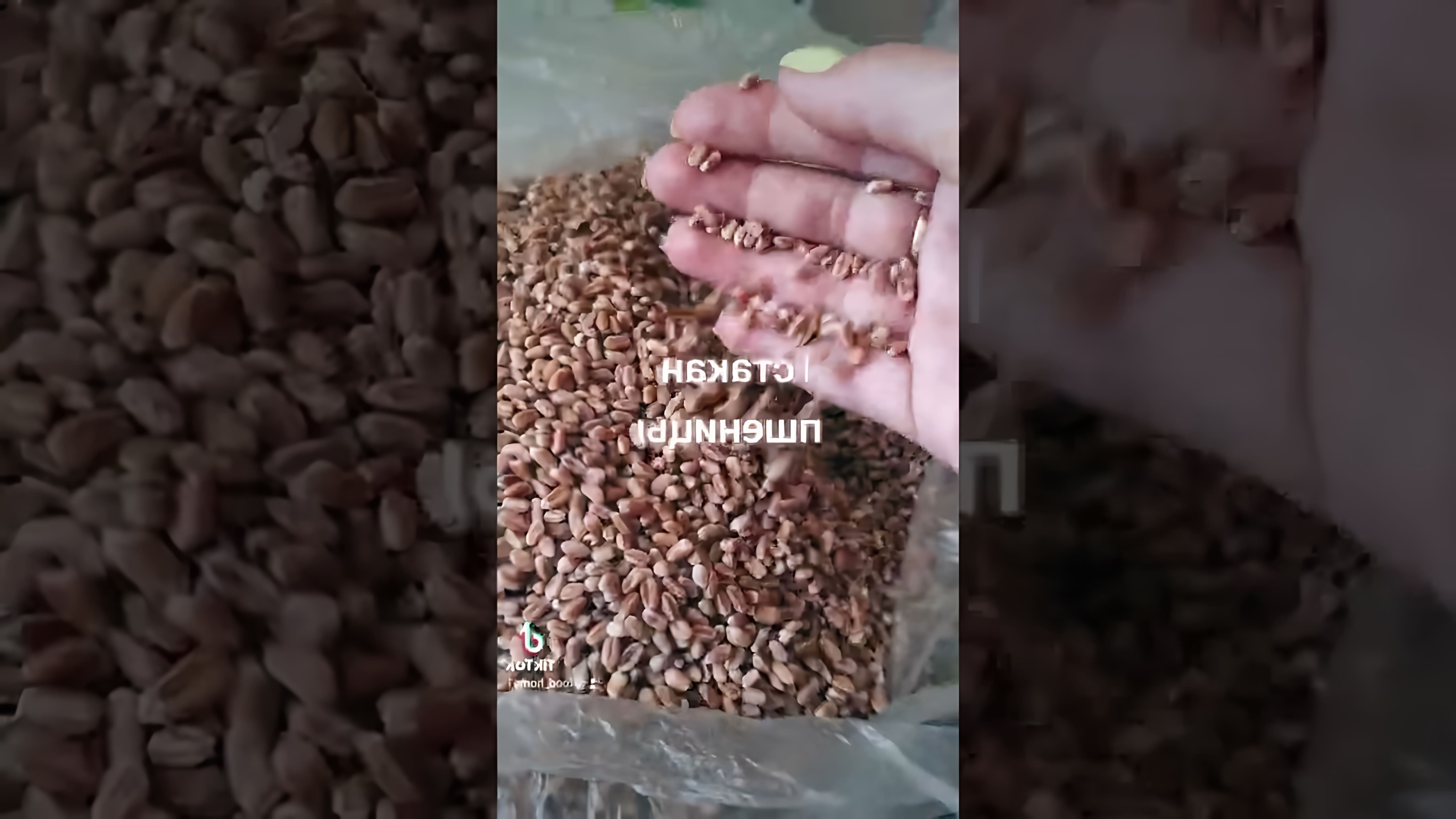 В этом видео-ролике рассказывается о пользе и вкусе пшеничной каши