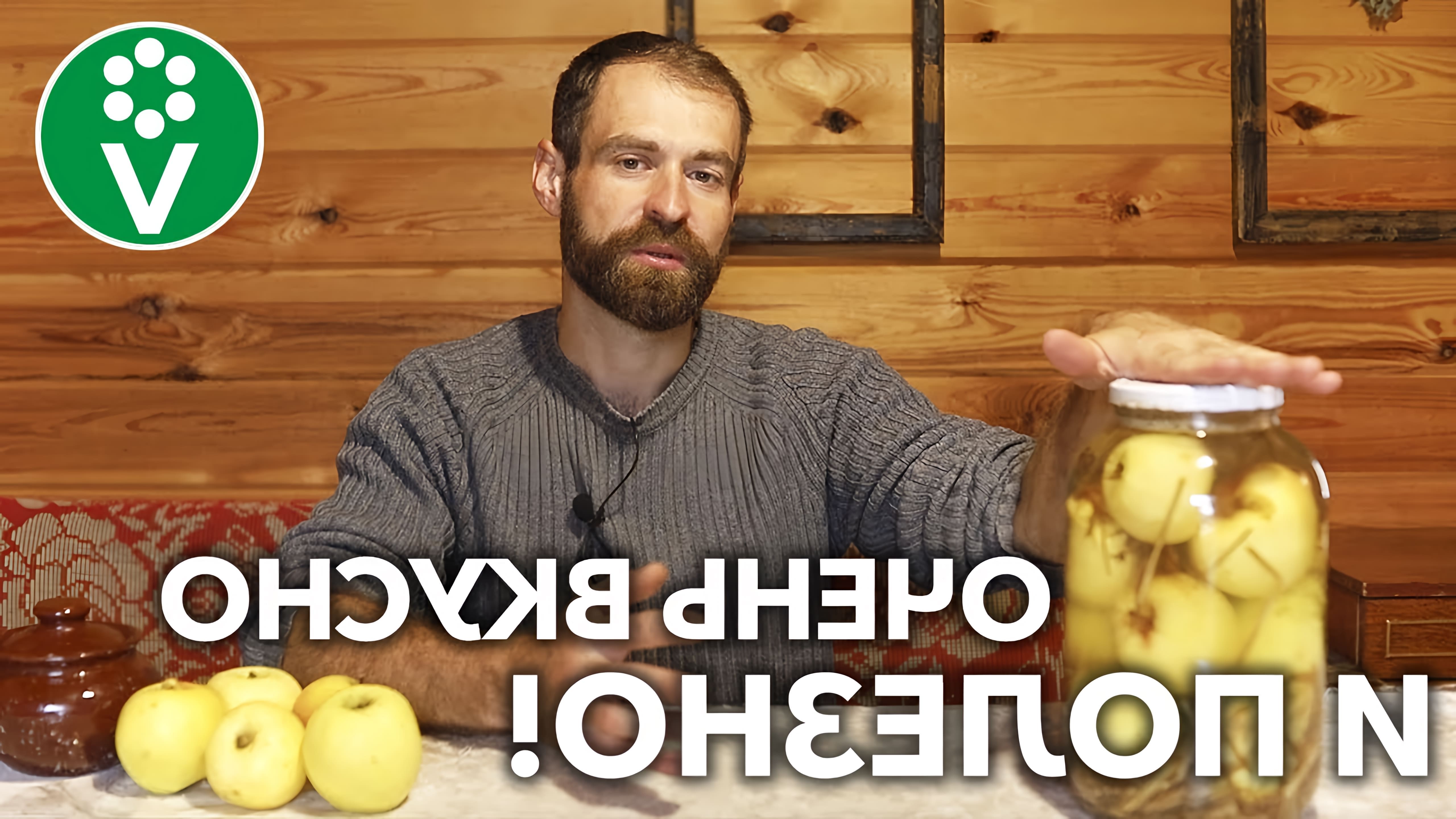 В этом видео Дмитрий, садовник и владелец личного подсобного хозяйства, делится рецептом приготовления моченых яблок по старинному рецепту