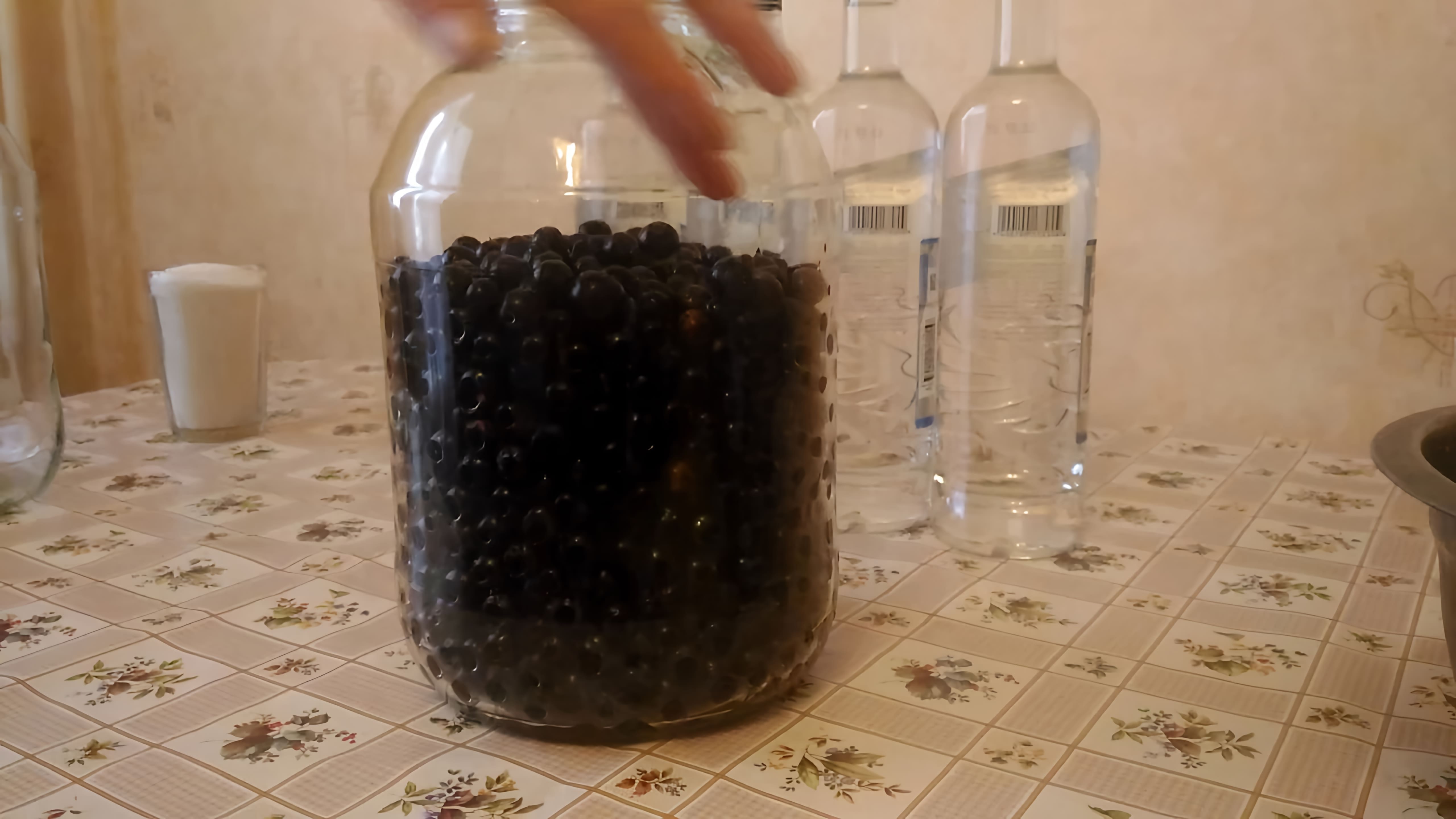 В этом видео-ролике будет показан простой рецепт приготовления настойки из черной смородины на водке