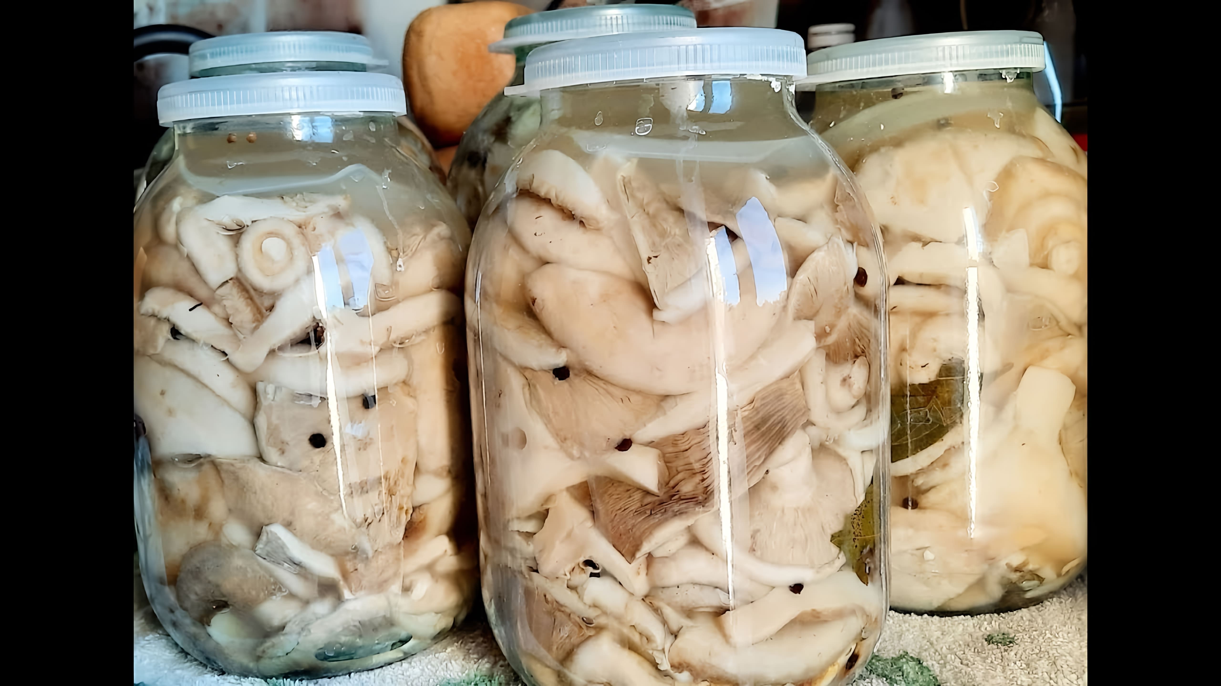 Рецепт засолки груздей таким способом отличается простотой и быстротой, а грибы получаются вкусными и хрустящими! 