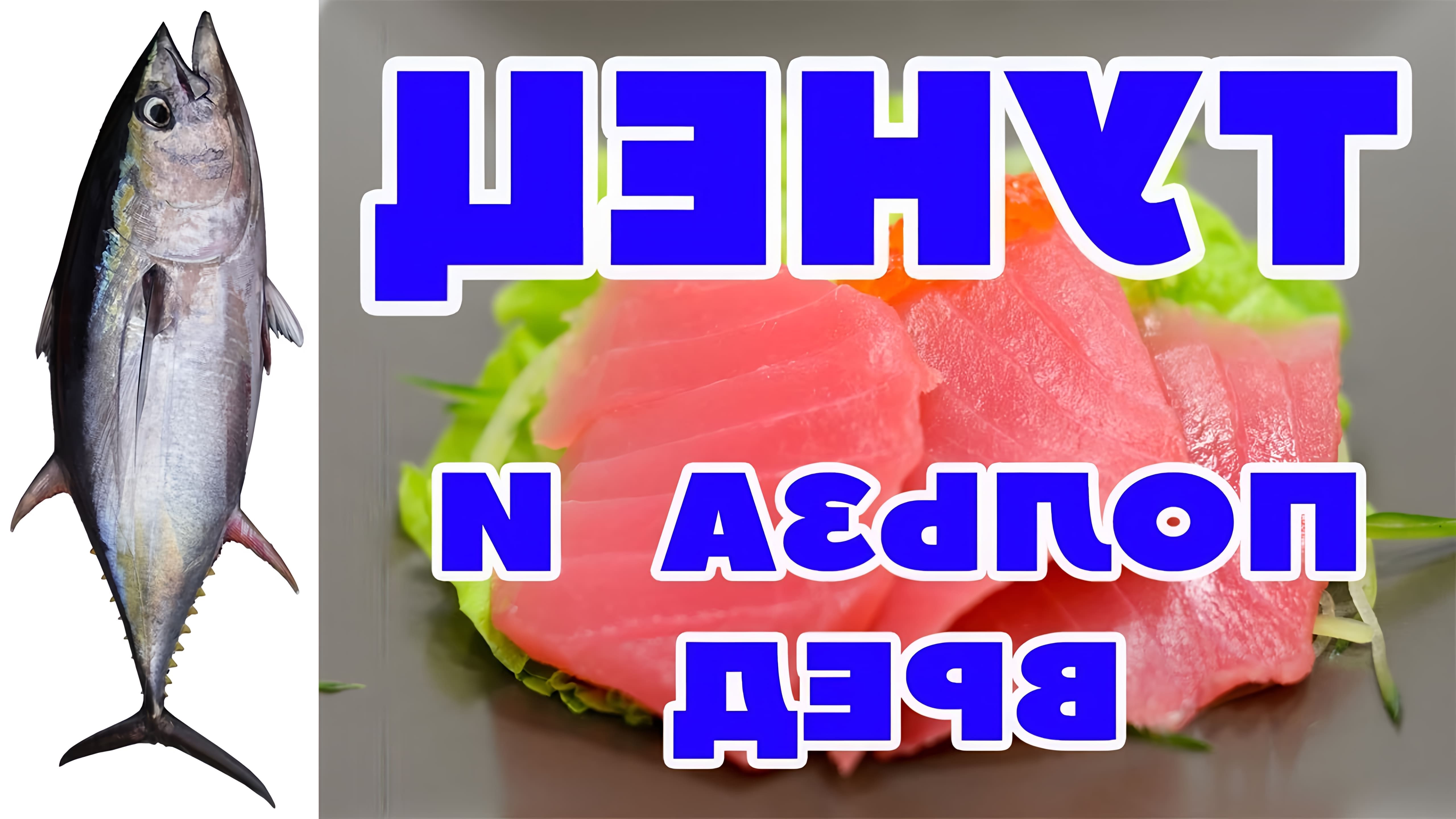 В этом видео рассказывается о пользе и вреде тунца, а также о том, как приготовить салат из консервированного тунца и стейк тунца с гарниром