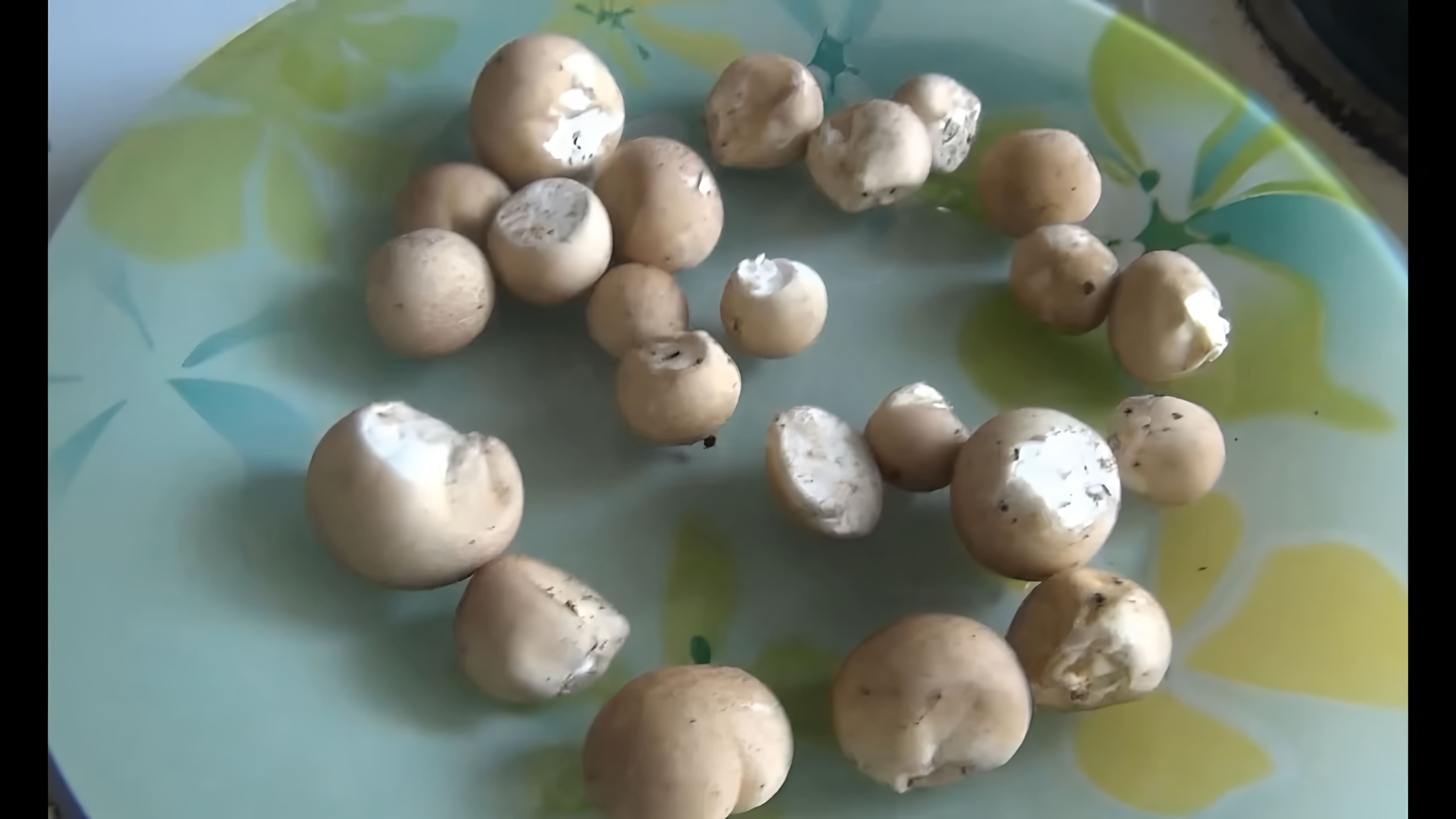 В данном видео рассказывается о том, как приготовить гриб дождевик