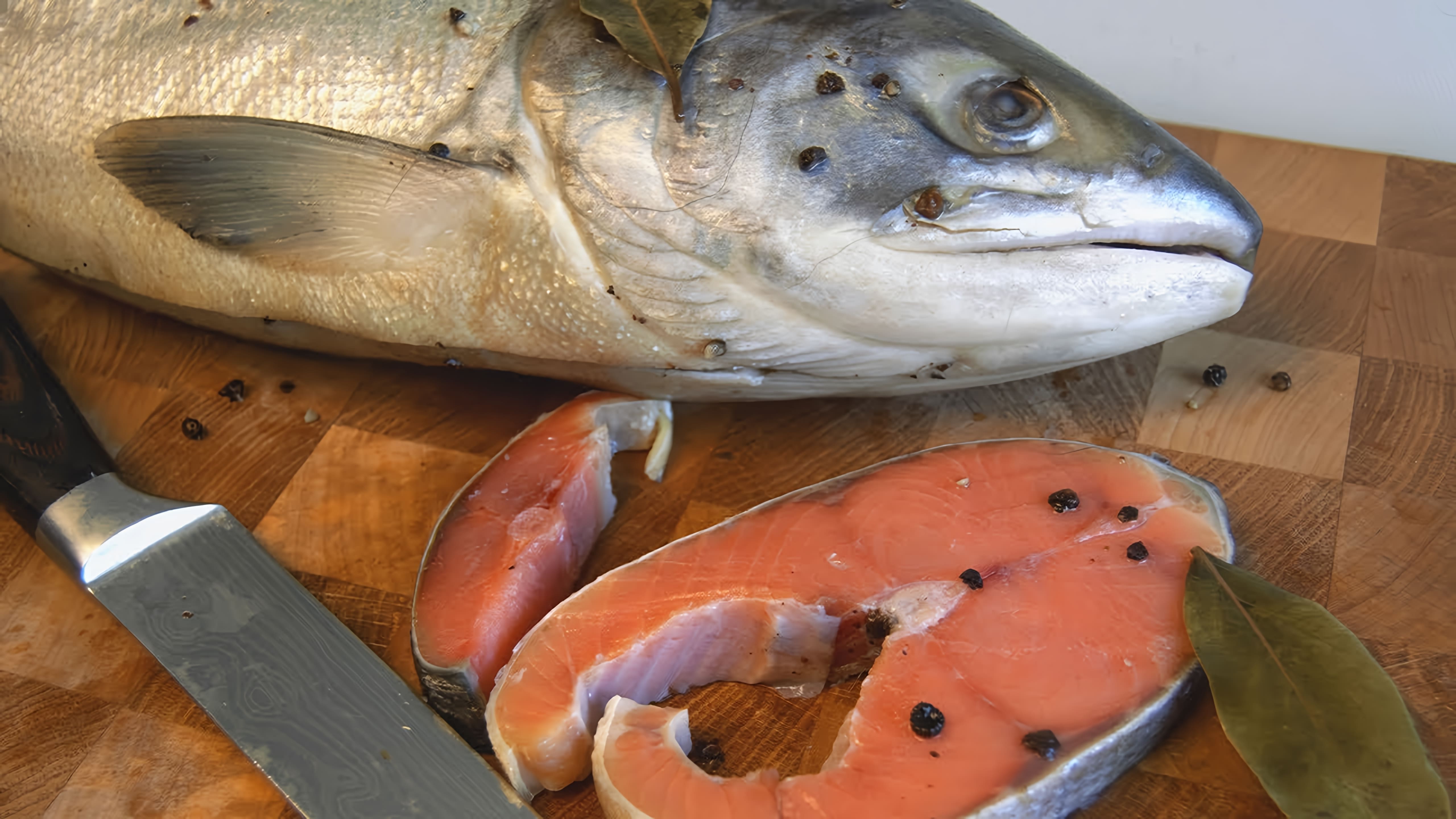 В данном видео демонстрируется процесс приготовления красной рыбы (лосося) по классическому рецепту, который использовался еще в 60-х годах