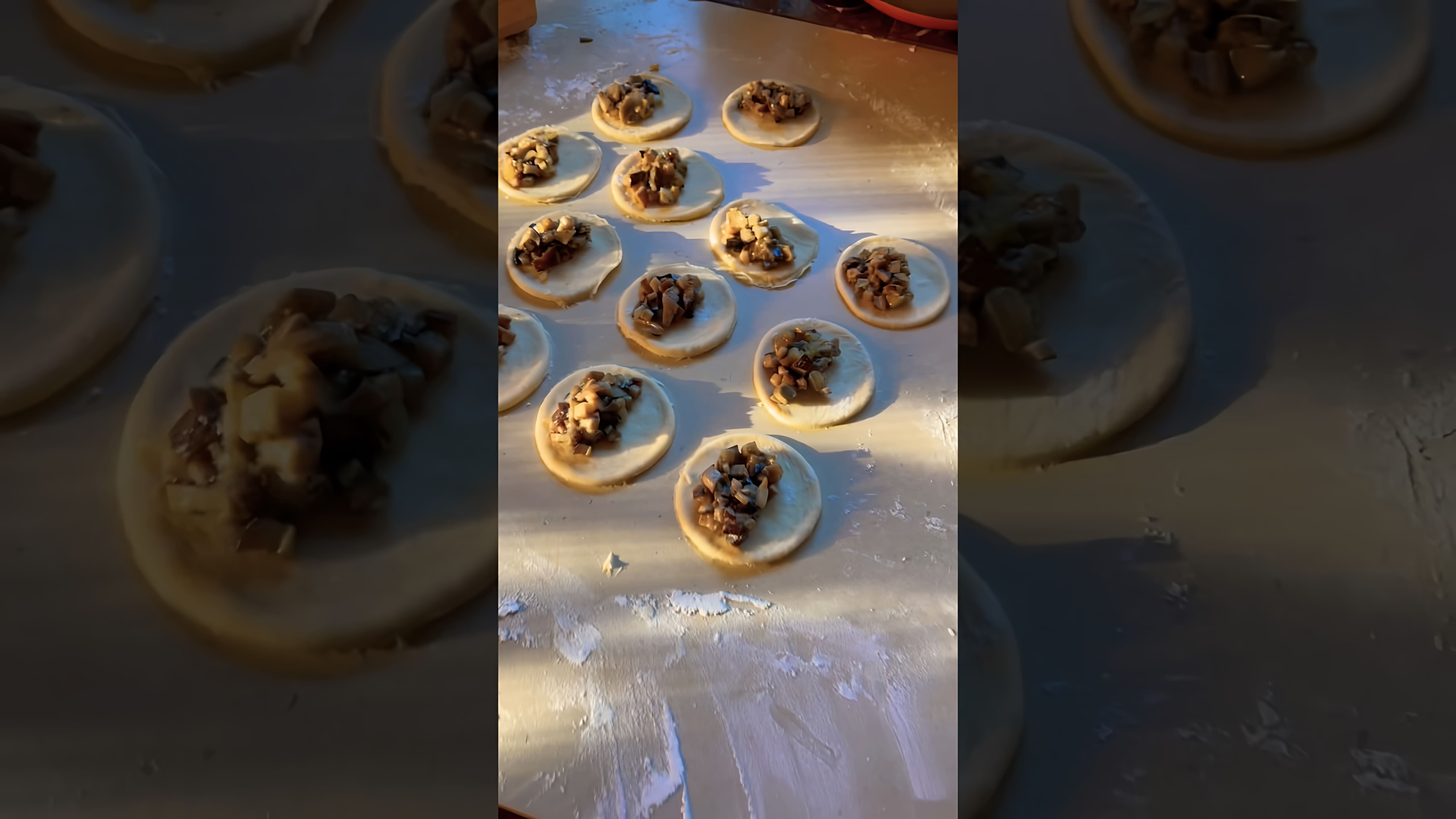 В этом видео-ролике вы увидите, как приготовить вкусные вареники с белыми грибами