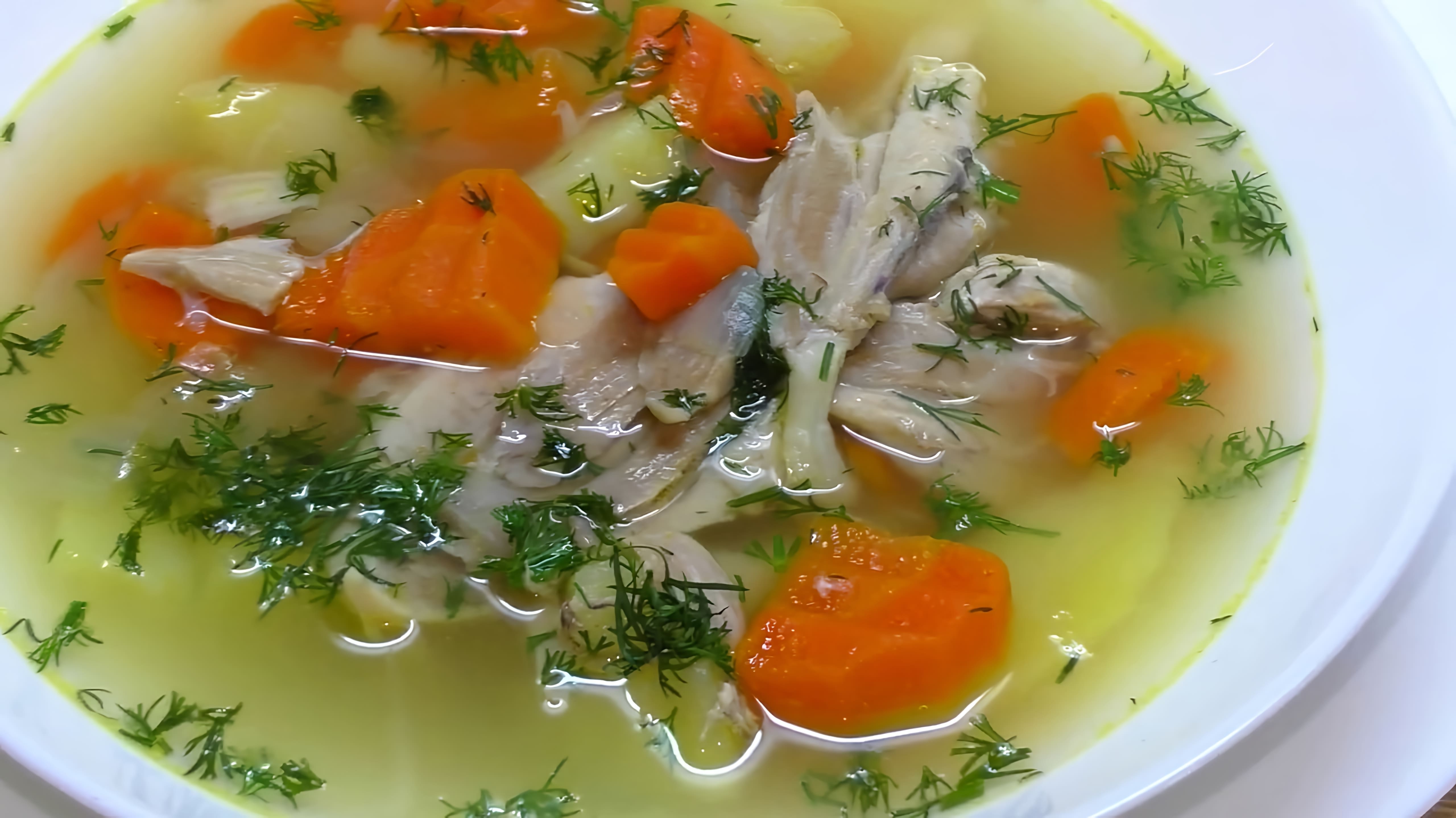 Видео как приготовить светлый и прозрачный куриный суп с овощами и травами без жарки