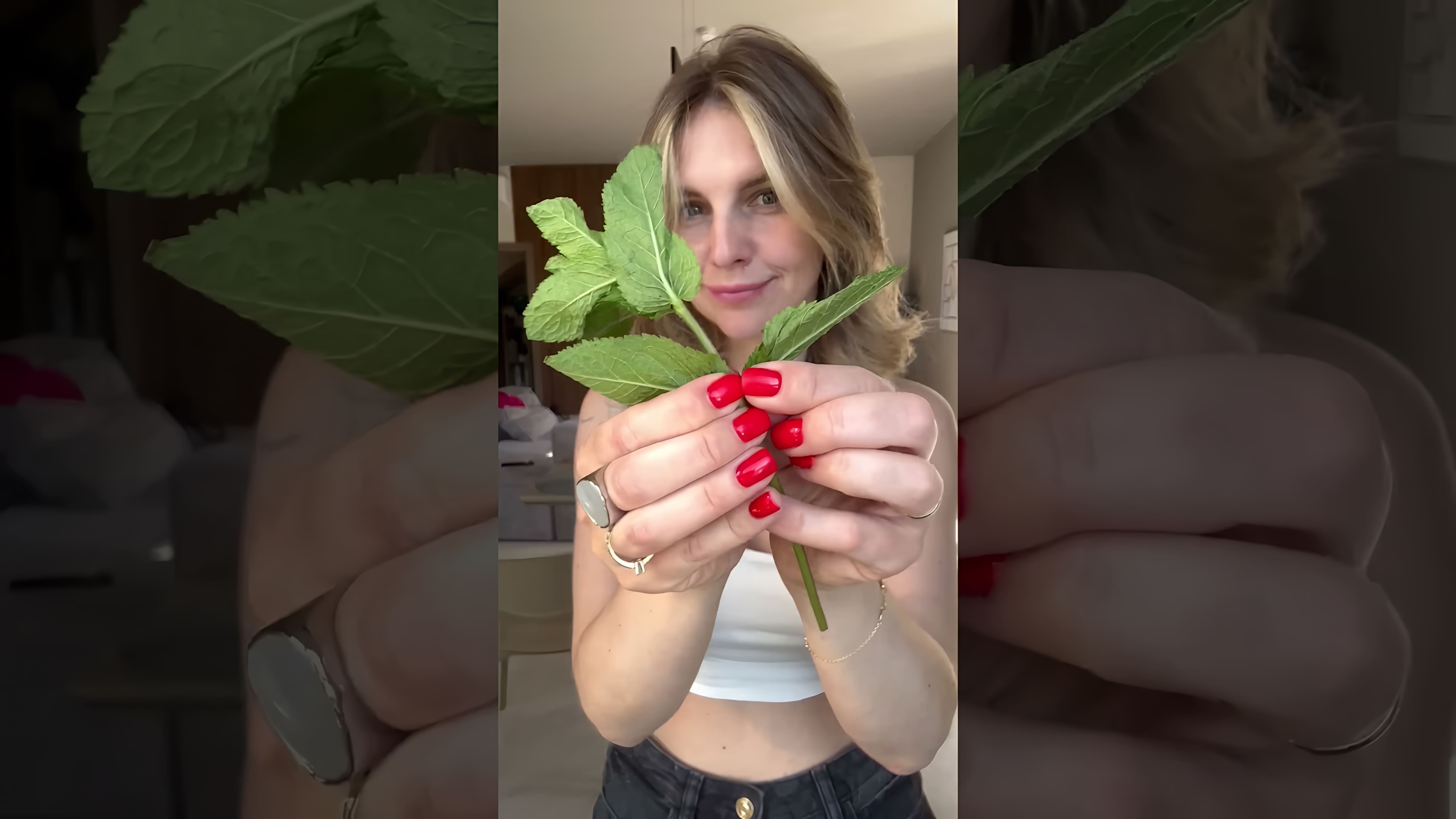 В этом видео рассказывается о том, что помидоры и огурцы не следует класть в один салат, так как помидоры создают кислую среду в организме, а огурцы отщелачивают