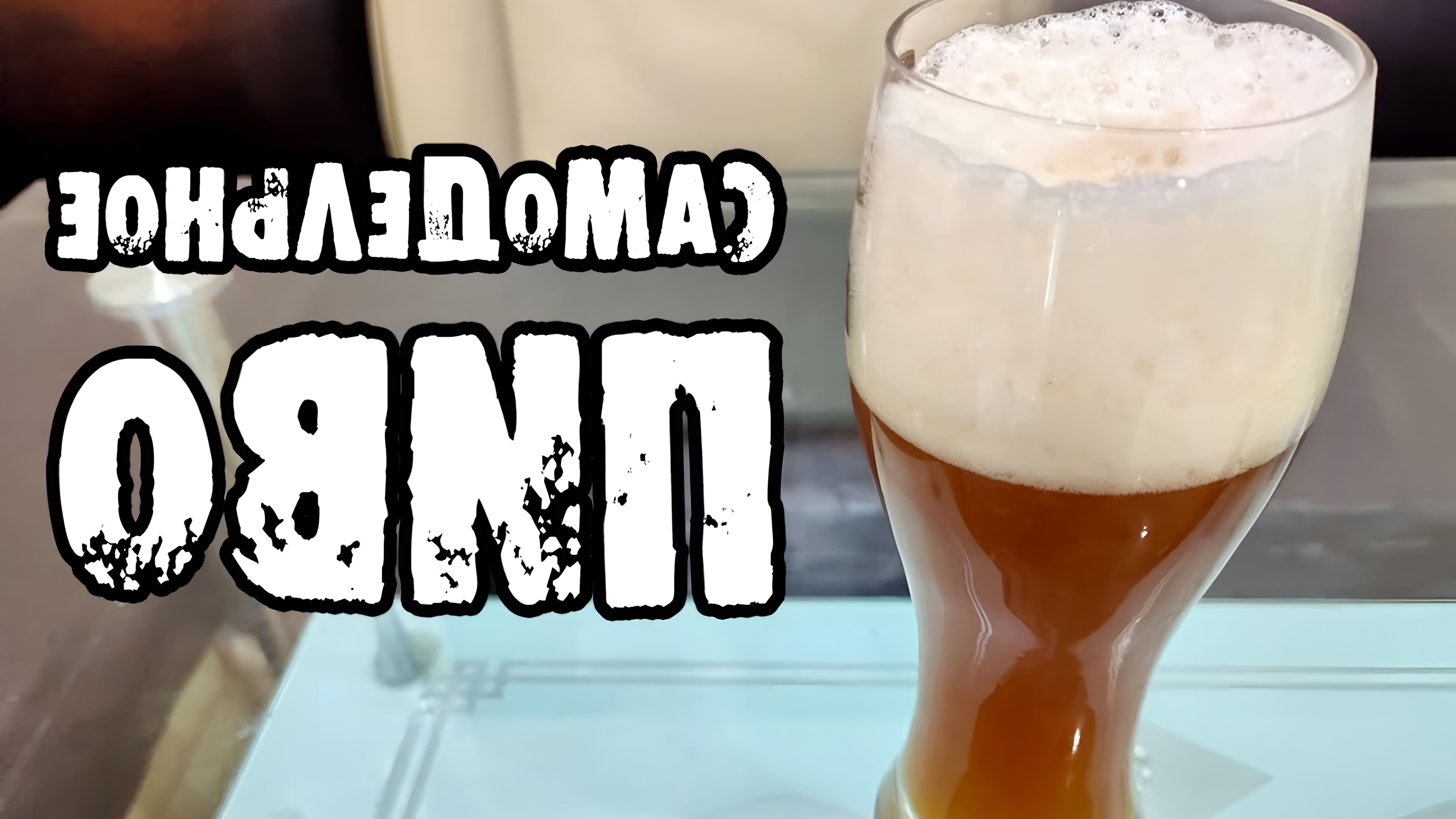 В данном видео рассказывается о том, как сварить крафтовое пиво в домашних условиях