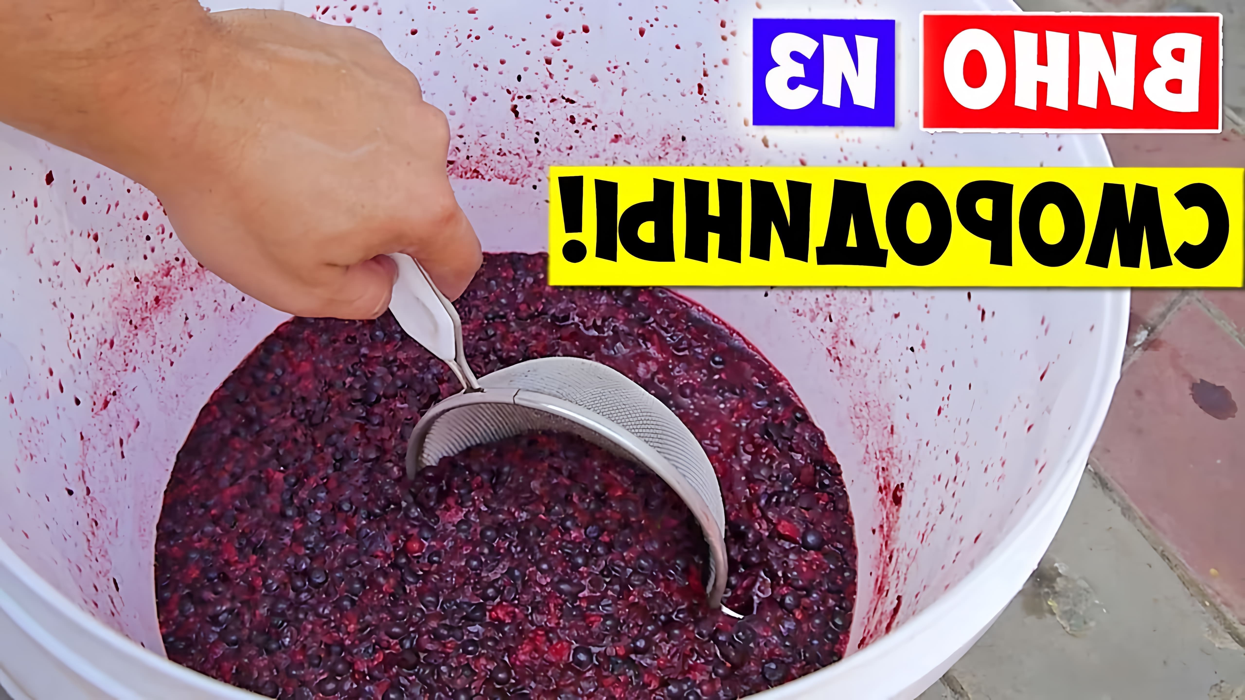 В этом видео демонстрируется процесс приготовления вина из смородины
